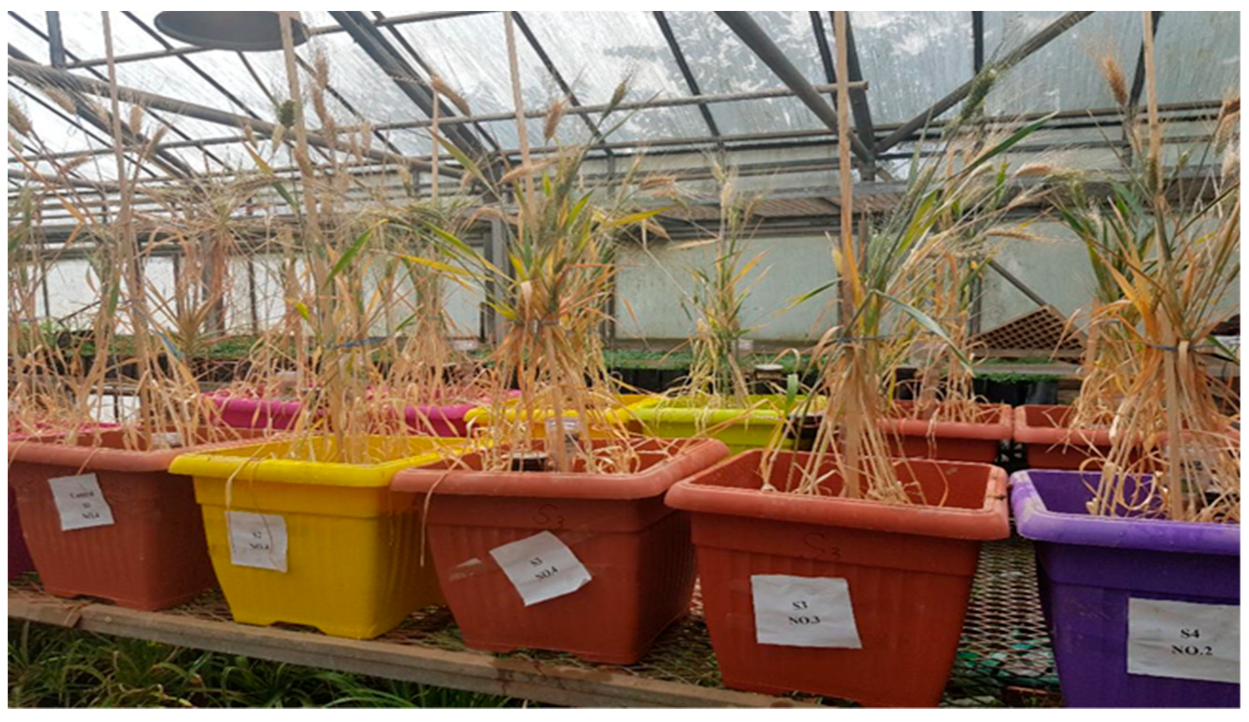 Agriculture 09 00135 g002
