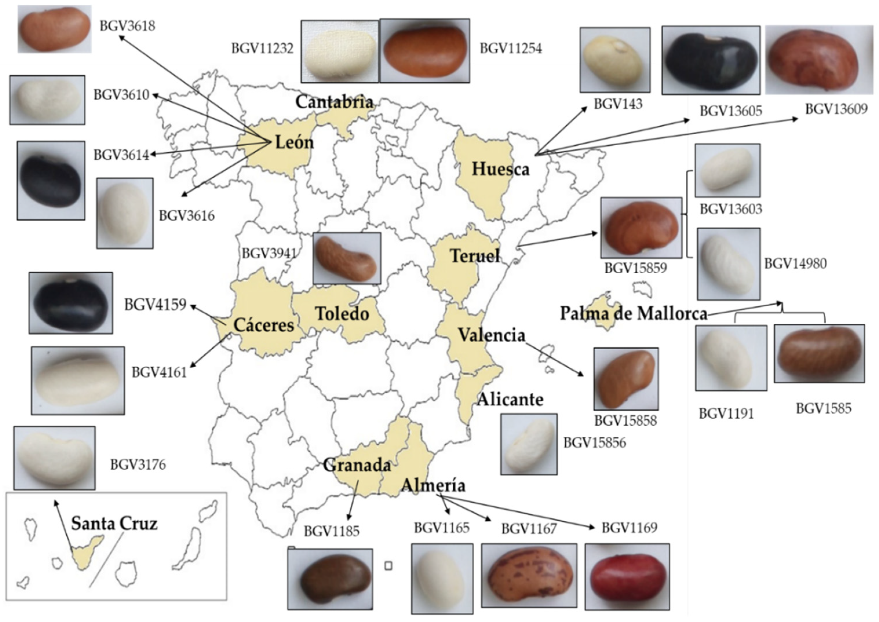 Agriculture 09 00149 g001 Agriculture 09 00149 g001