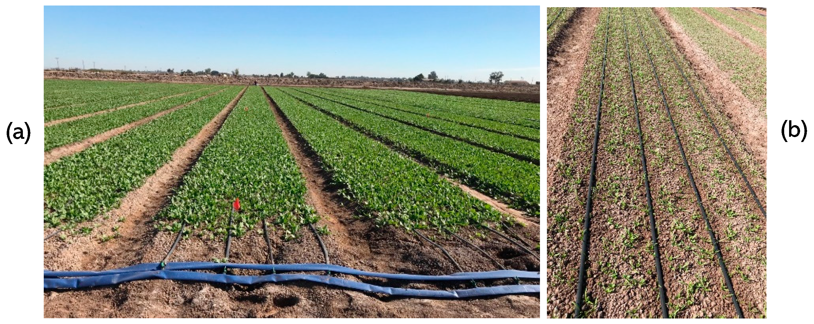 Agriculture Free FullText Research Advances in Adopting Drip