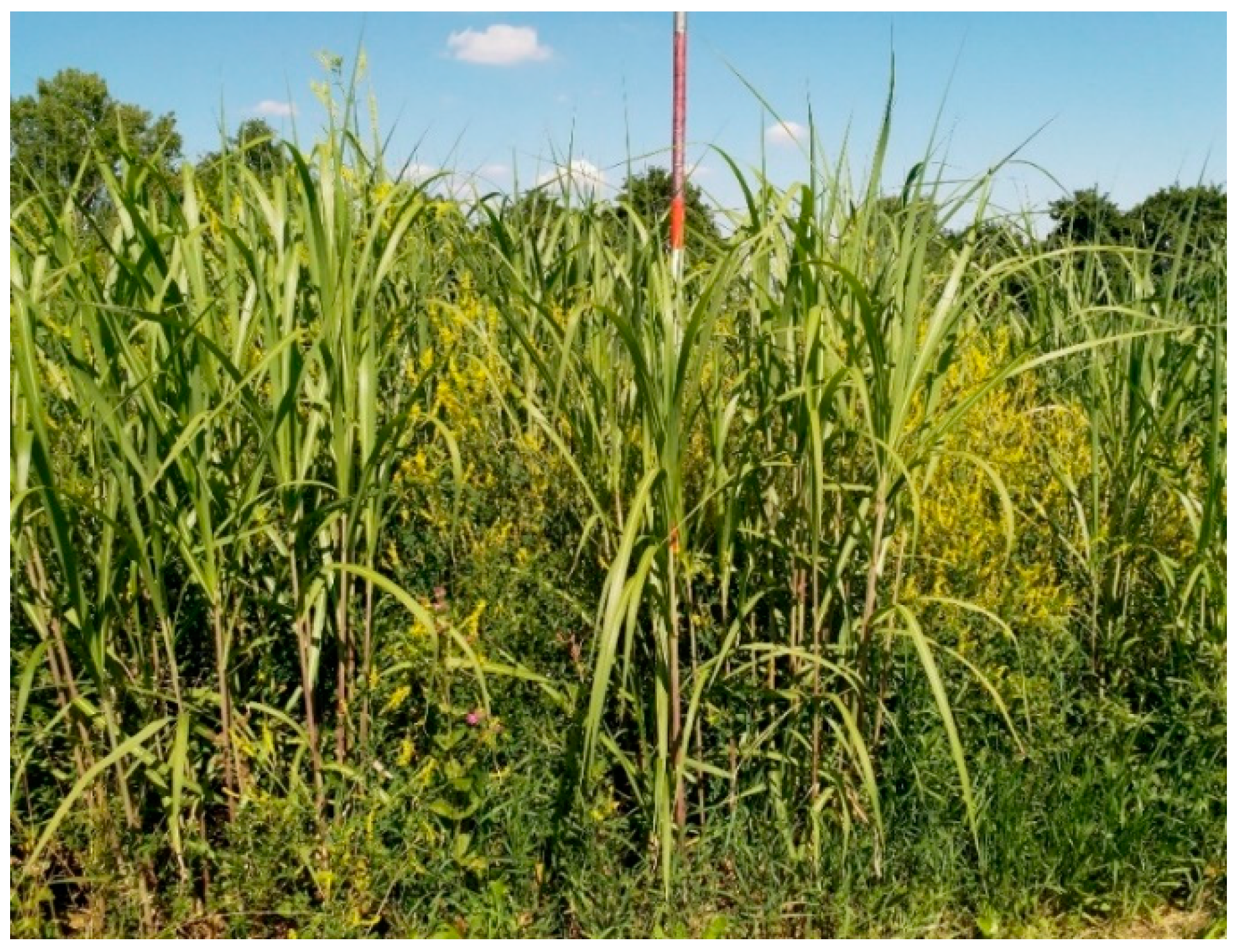 Agriculture 09 00194 g005 Agriculture 09 00194 g005