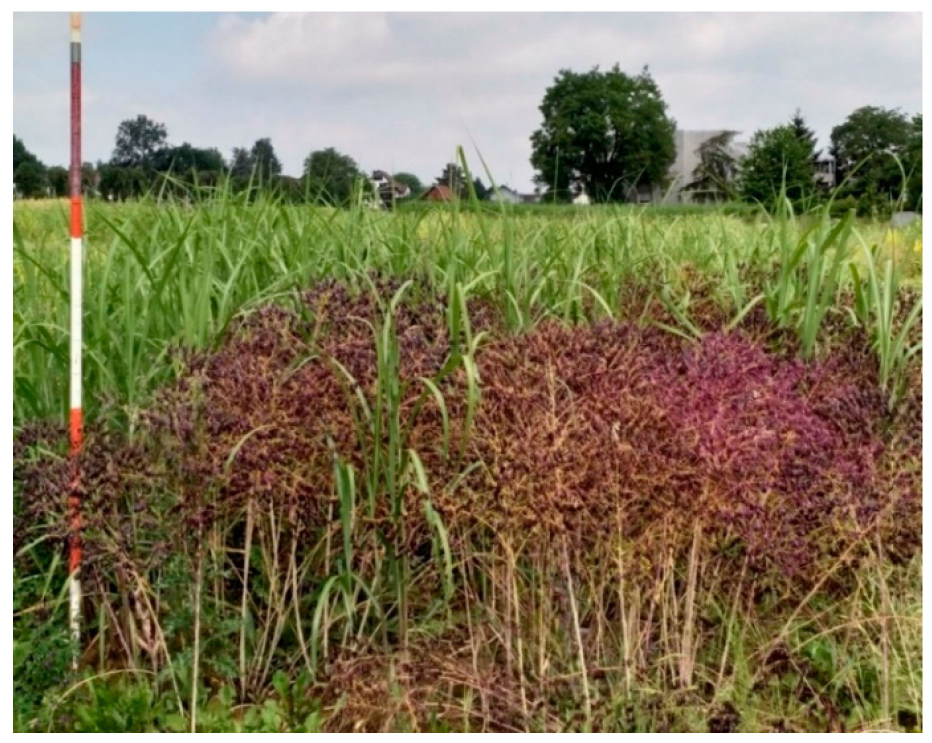 Agriculture 09 00194 g006 Agriculture 09 00194 g006