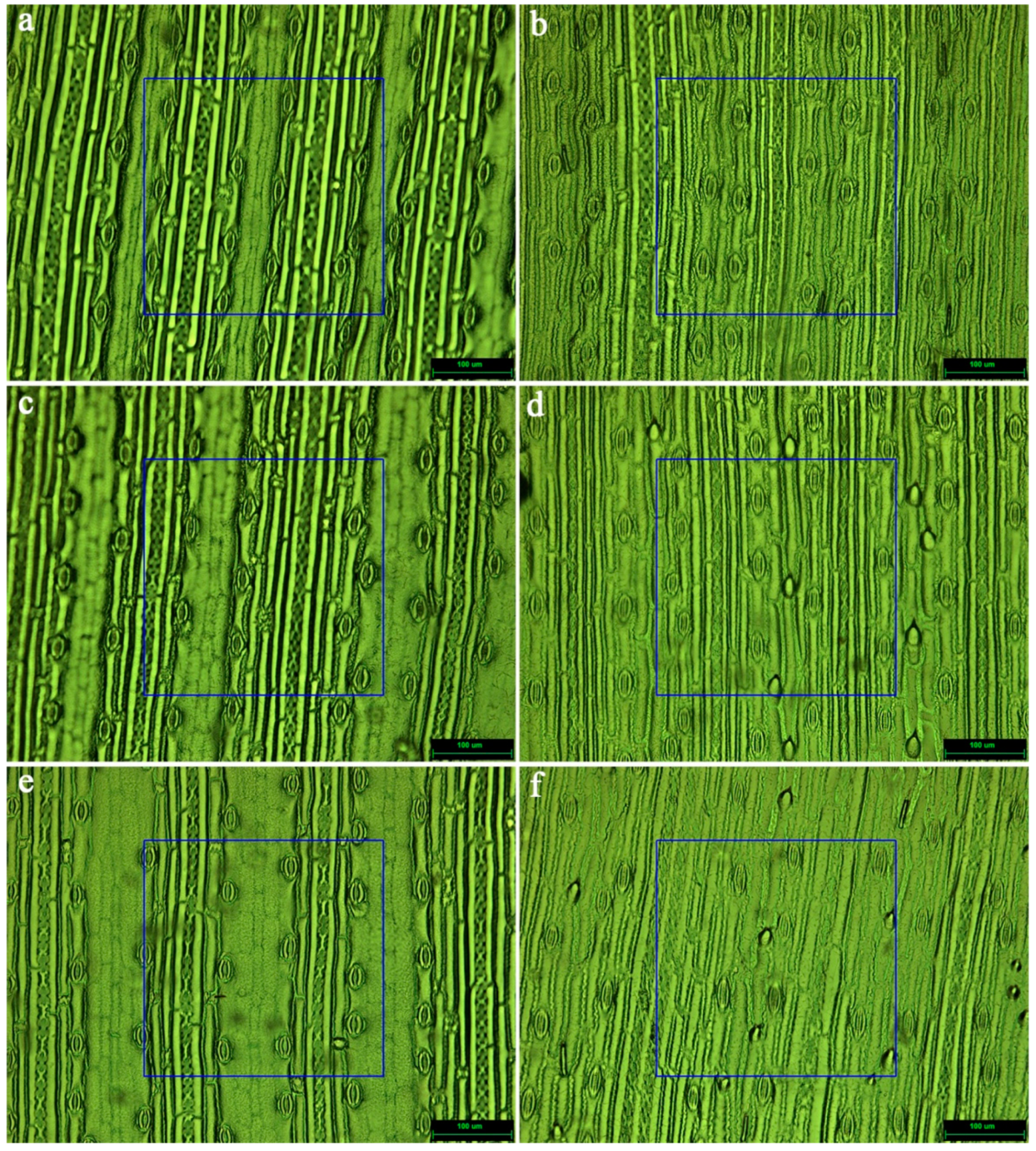 Agriculture 09 00205 g003