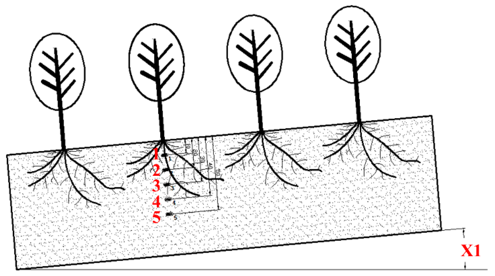 Agriculture 09 00206 g003 Agriculture 09 00206 g003