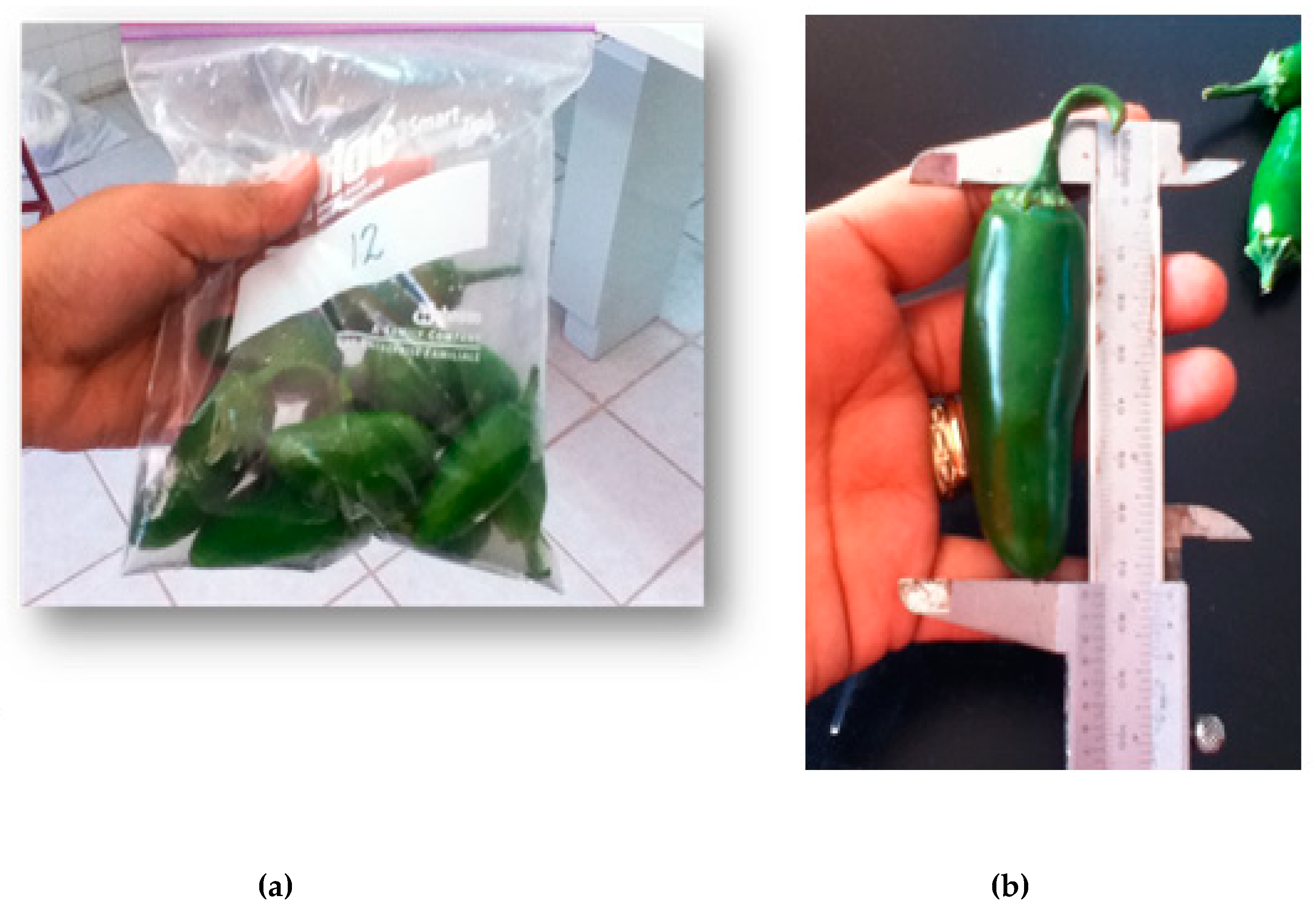 Agriculture 09 00208 g002 Agriculture 09 00208 g002