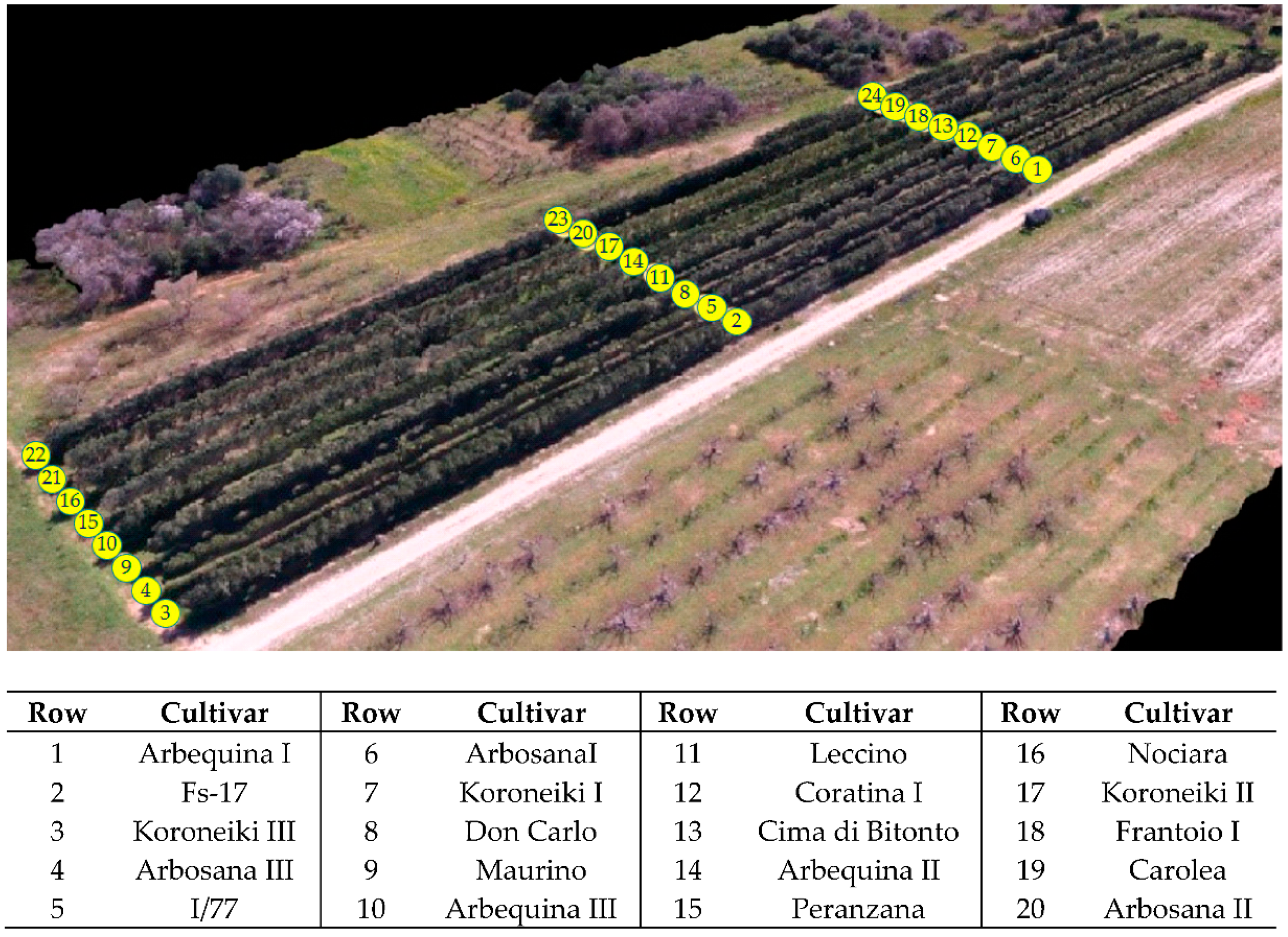 Agriculture 09 00233 g003
