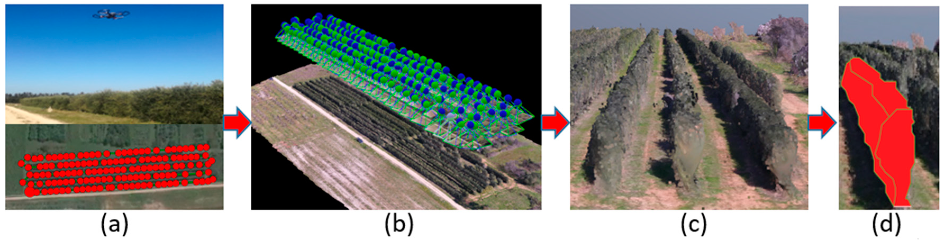 Agriculture 09 00233 g005