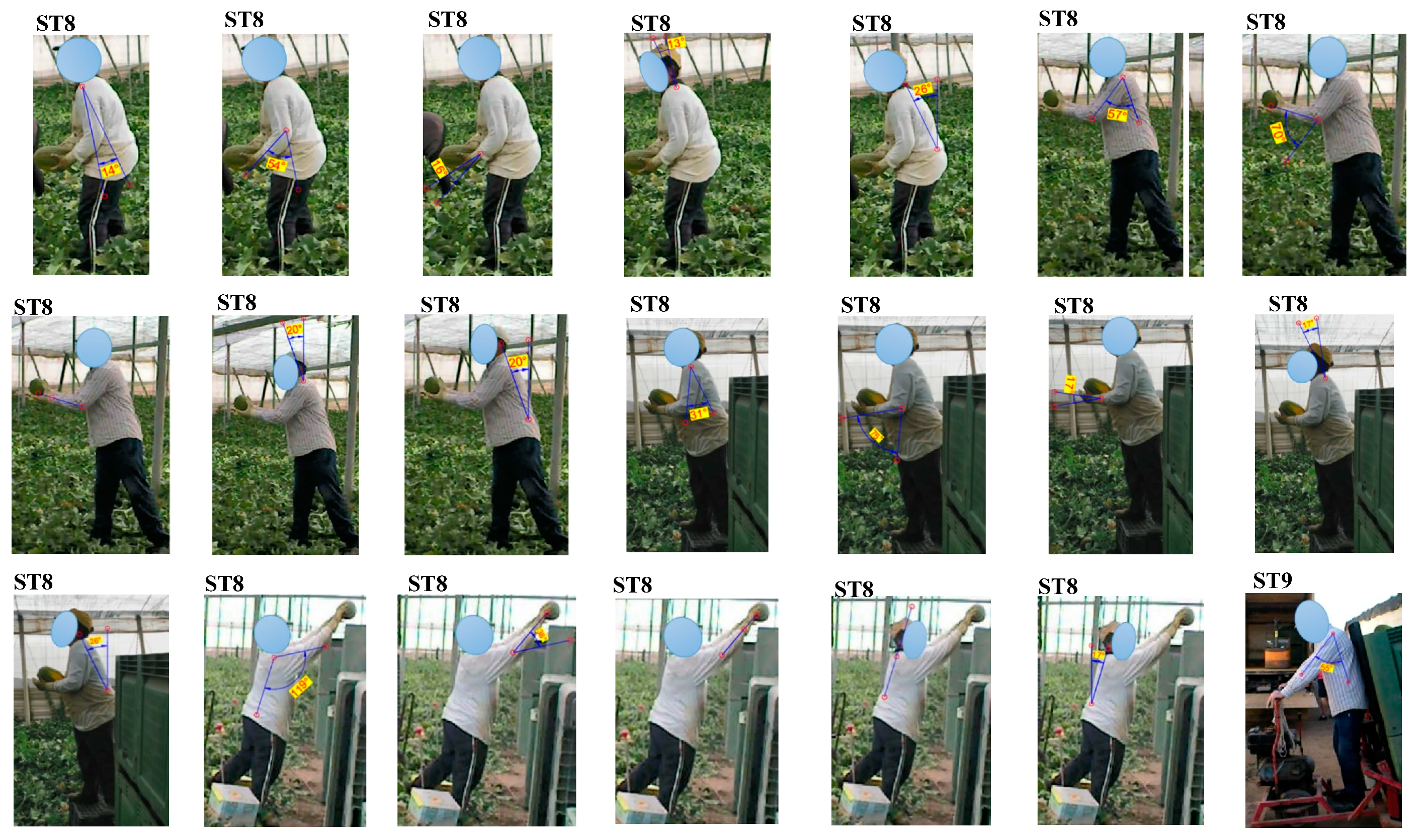 Agriculture 09 00236 g0a1d