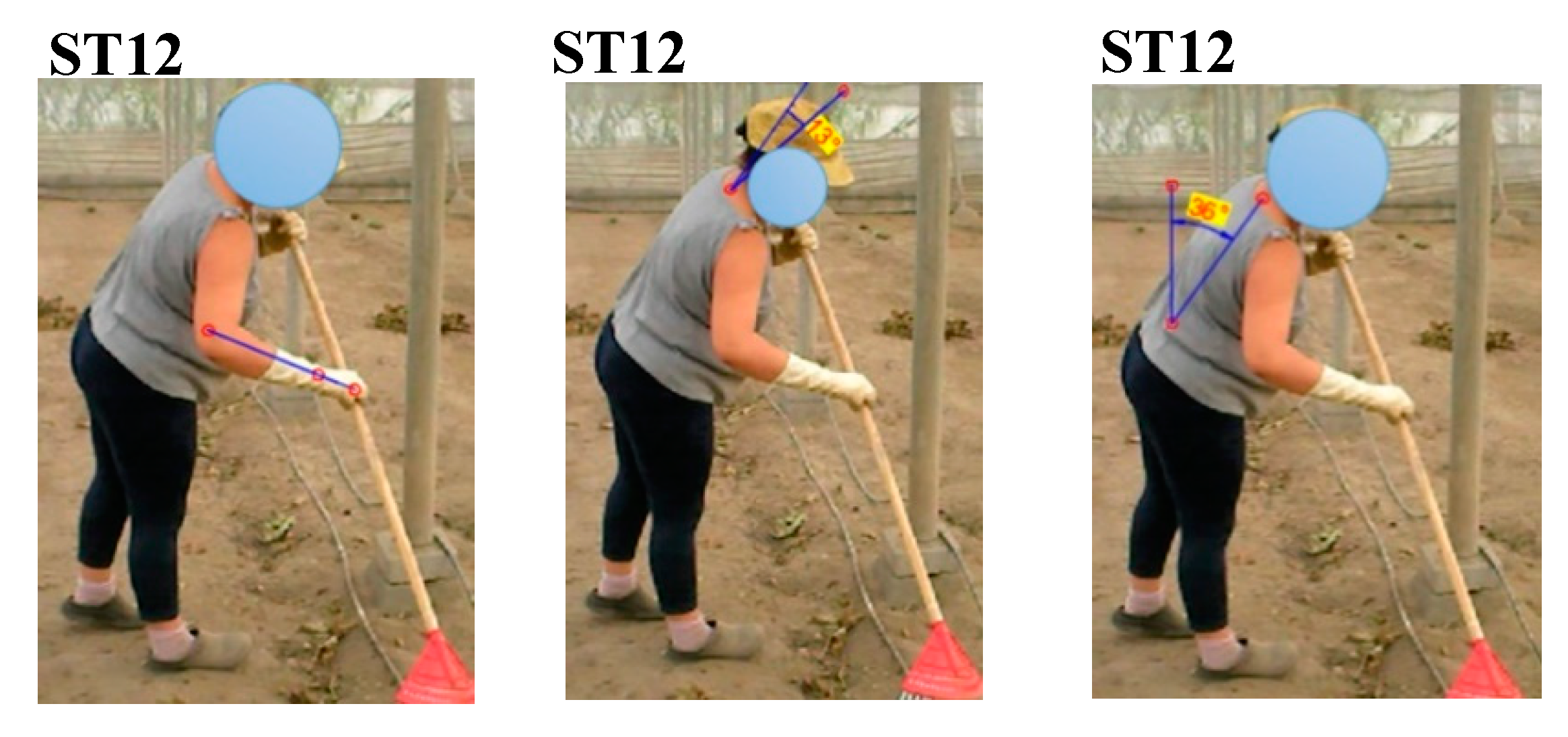 Agriculture 09 00236 g0a1f