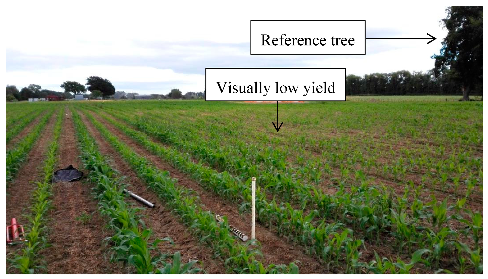 Agriculture 09 00237 g013