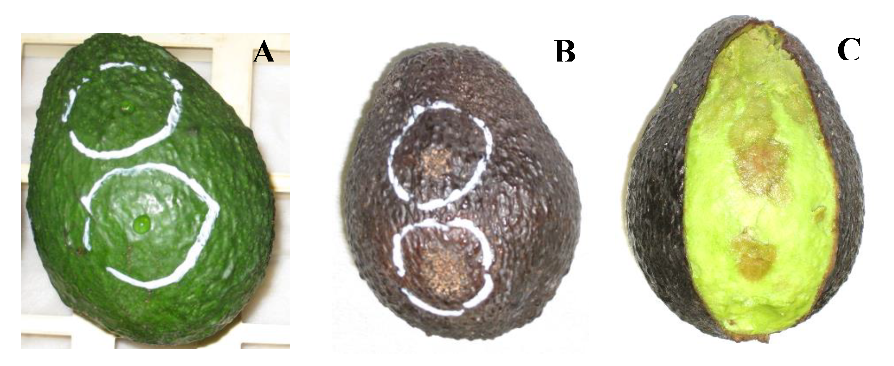 Agriculture 09 00241 g001 550