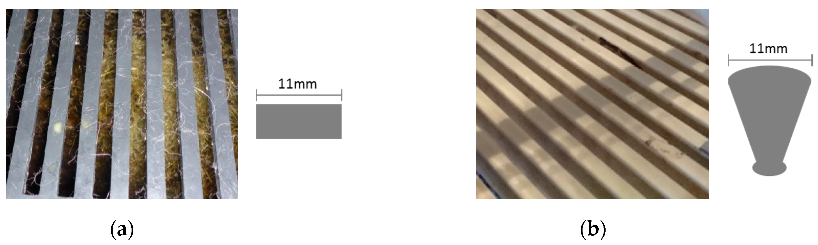 Agriculture 09 00257 g001