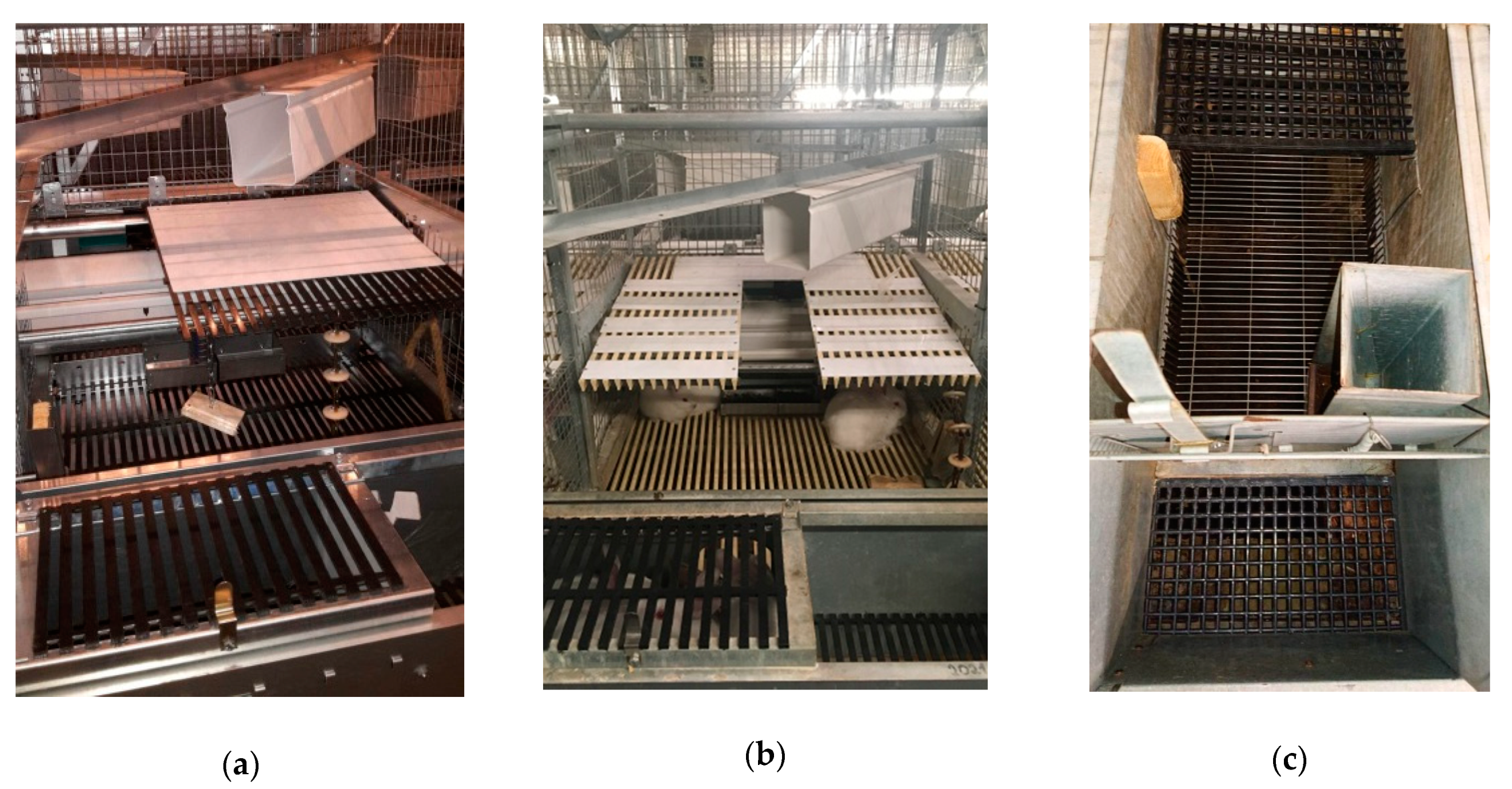 Agriculture 09 00257 g002