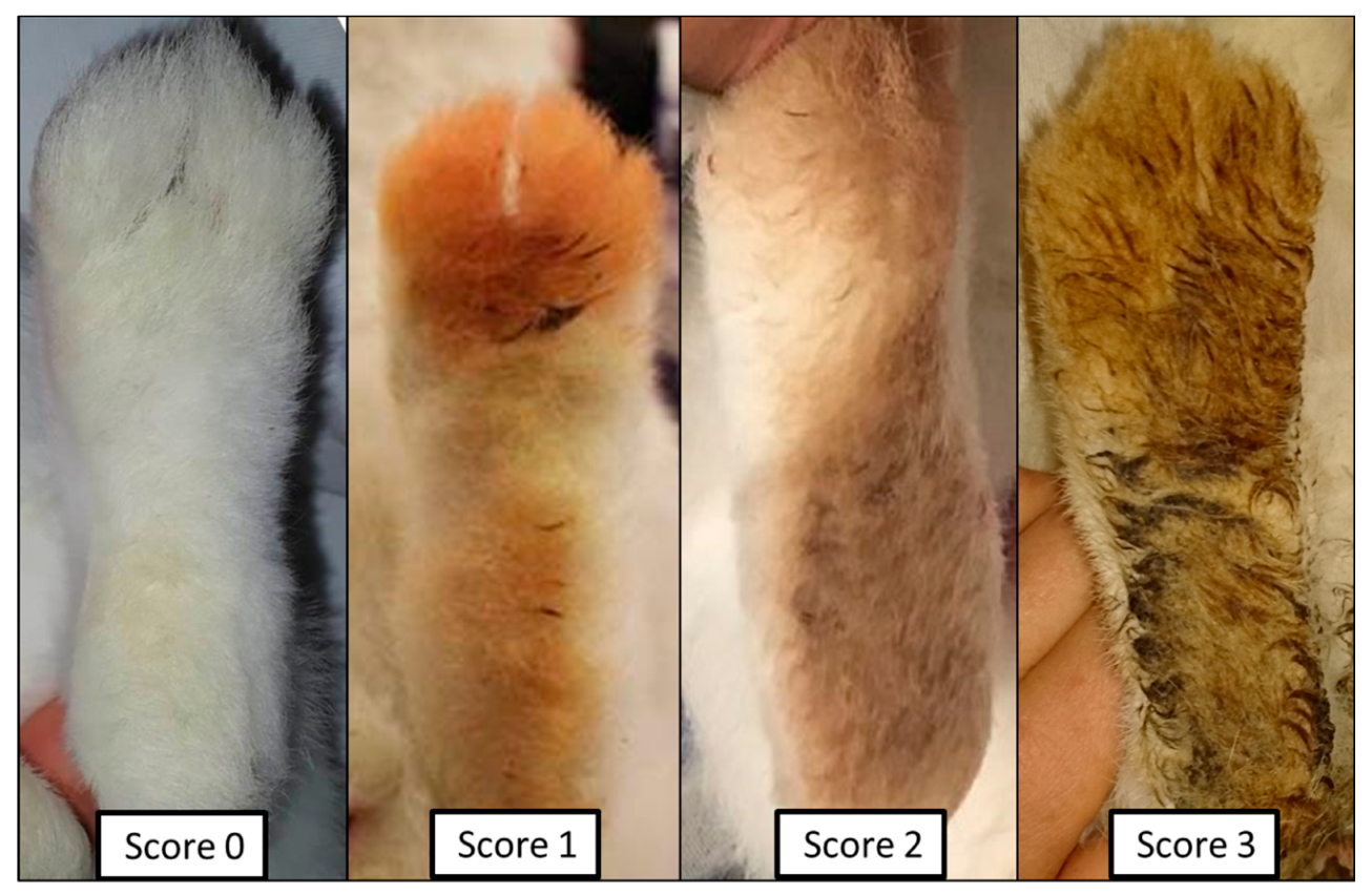 Agriculture 09 00257 g003