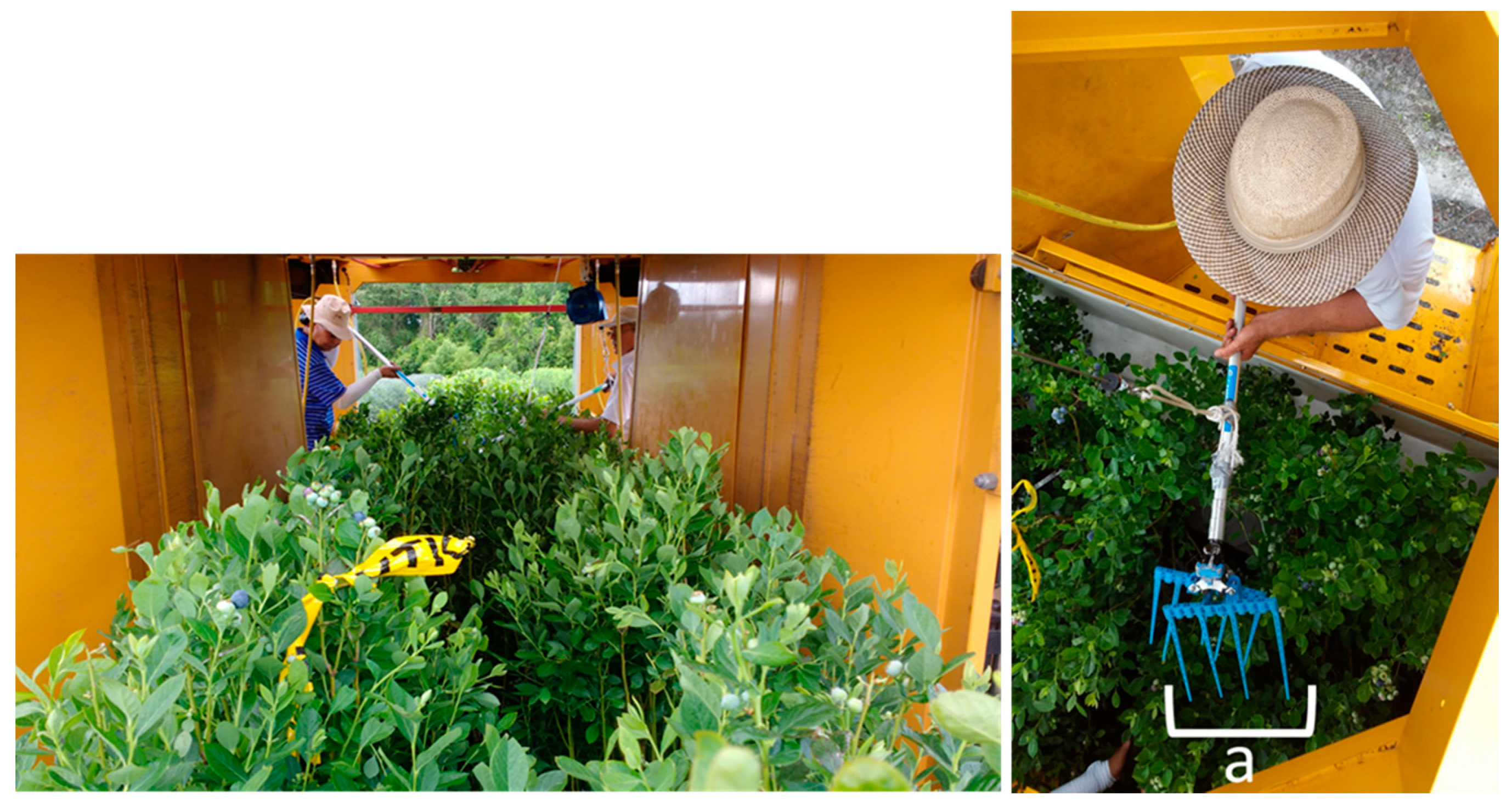 Agriculture 10 00004 g004