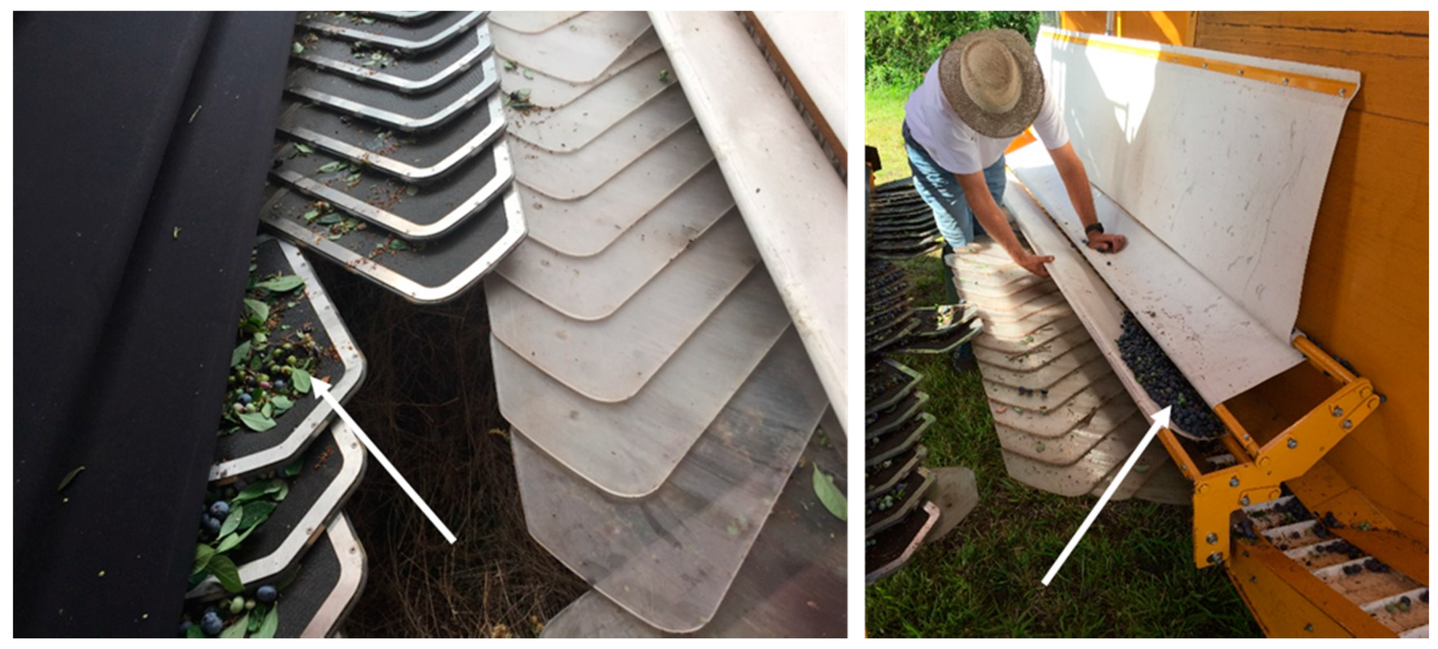 Agriculture 10 00004 g007