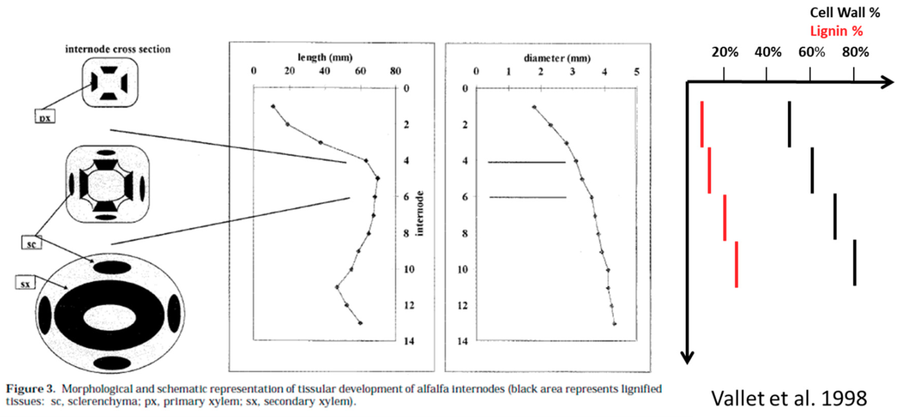 Agriculture 10 00005 g011