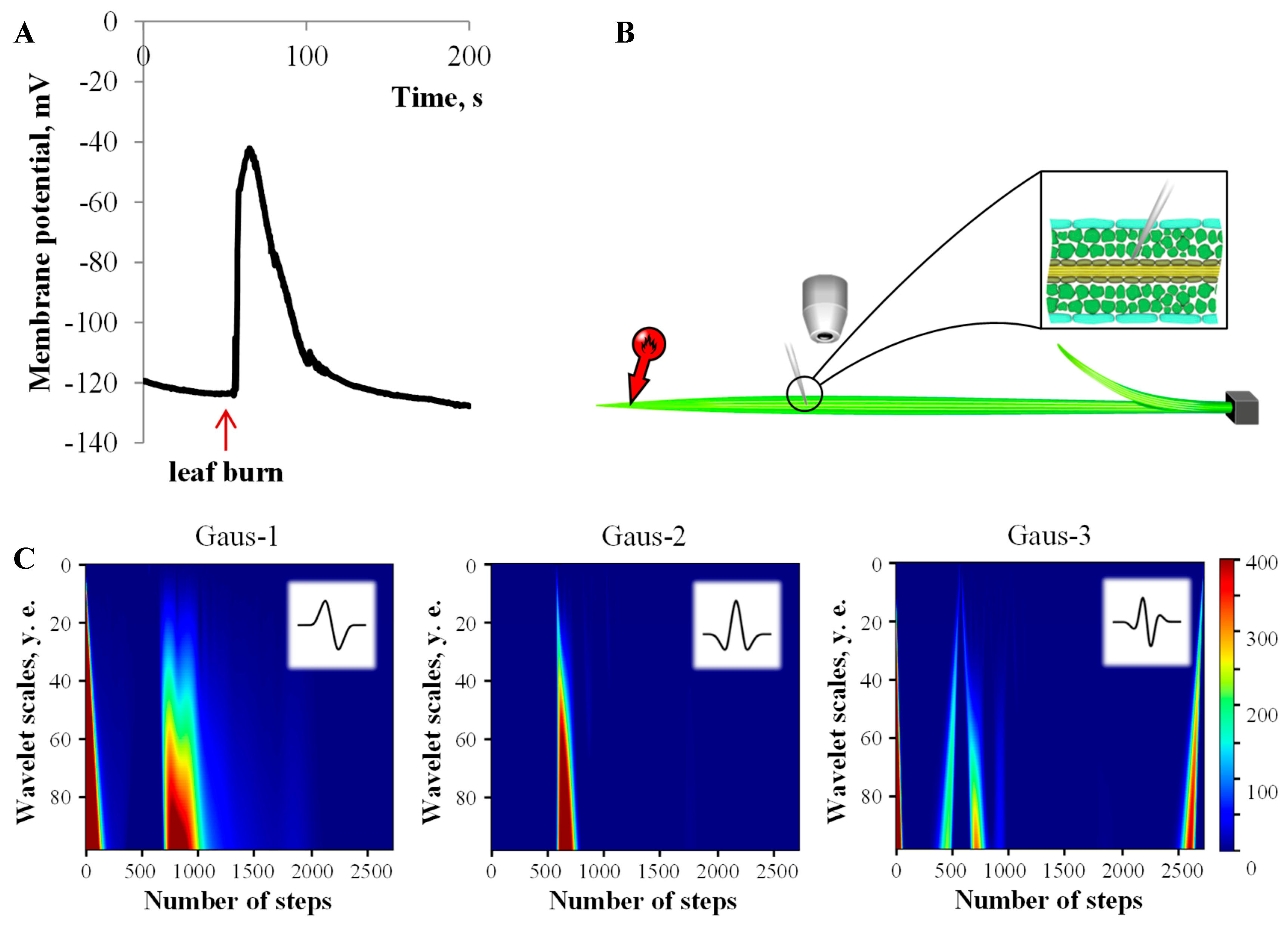 Agriculture 10 00007 g002 Agriculture 10 00007 g002