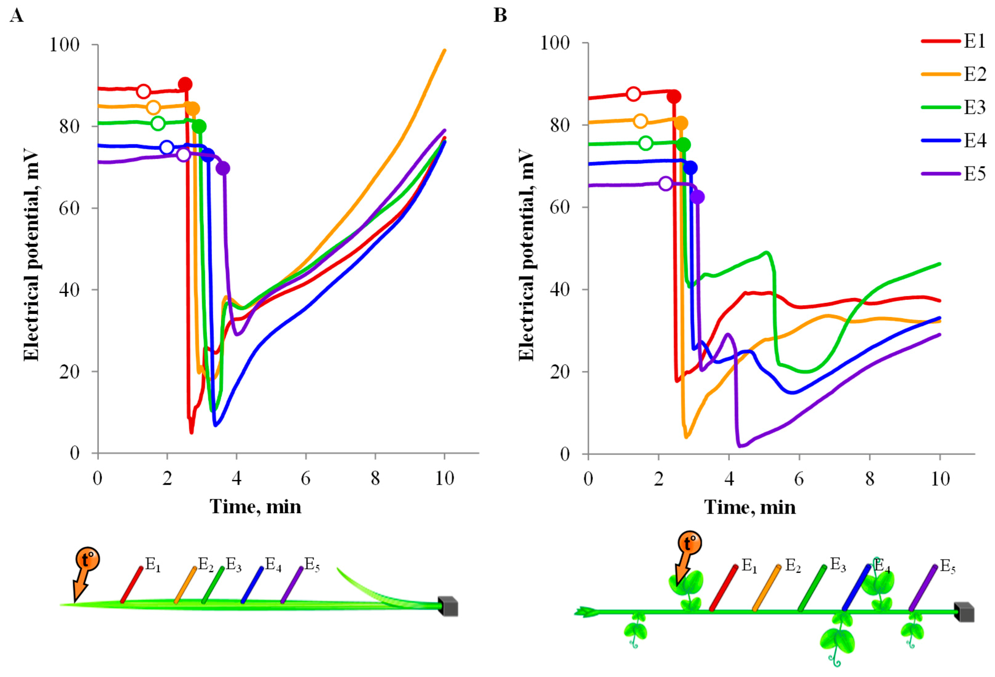 Agriculture 10 00007 g003 Agriculture 10 00007 g003