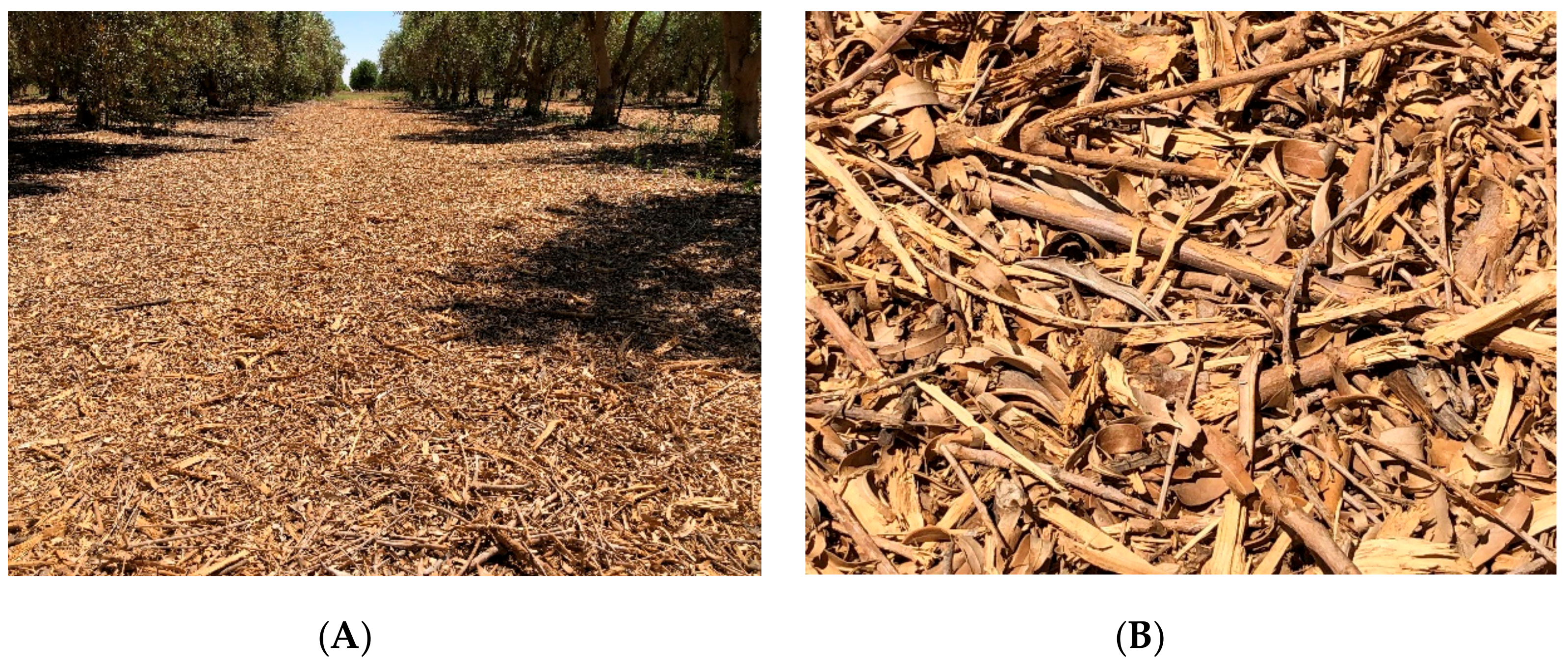 Agriculture 10 00011 g007