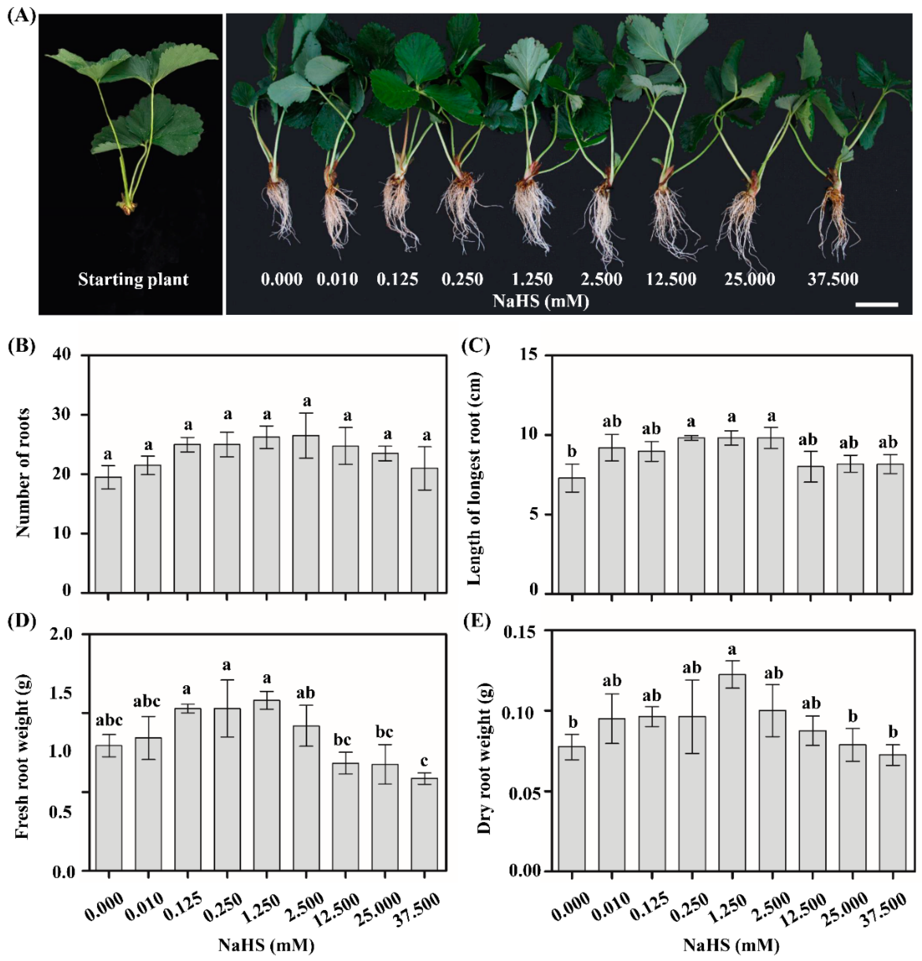 Agriculture 10 00012 g001 Agriculture 10 00012 g001