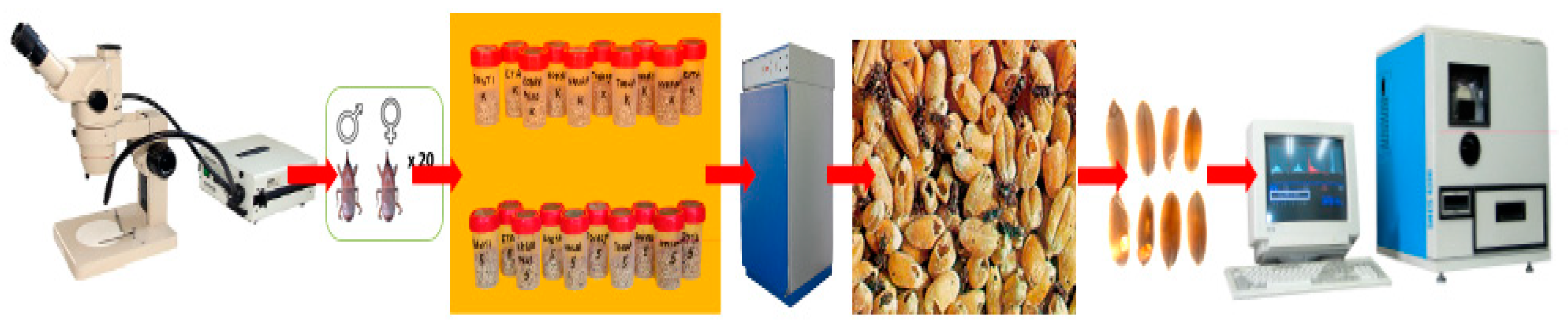 Agriculture 10 00025 g002 Agriculture 10 00025 g002