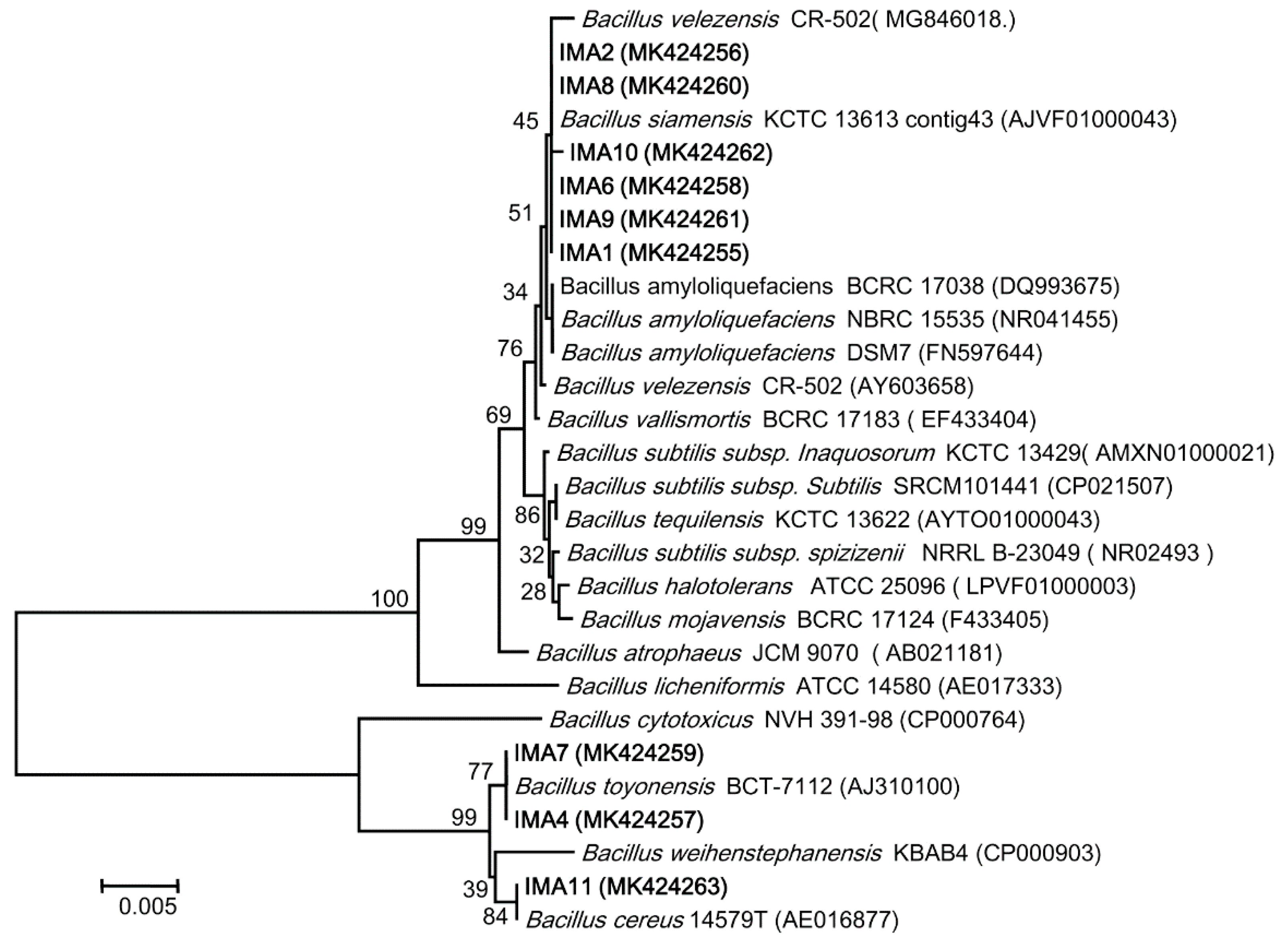 Agriculture 10 00037 g001 Agriculture 10 00037 g001