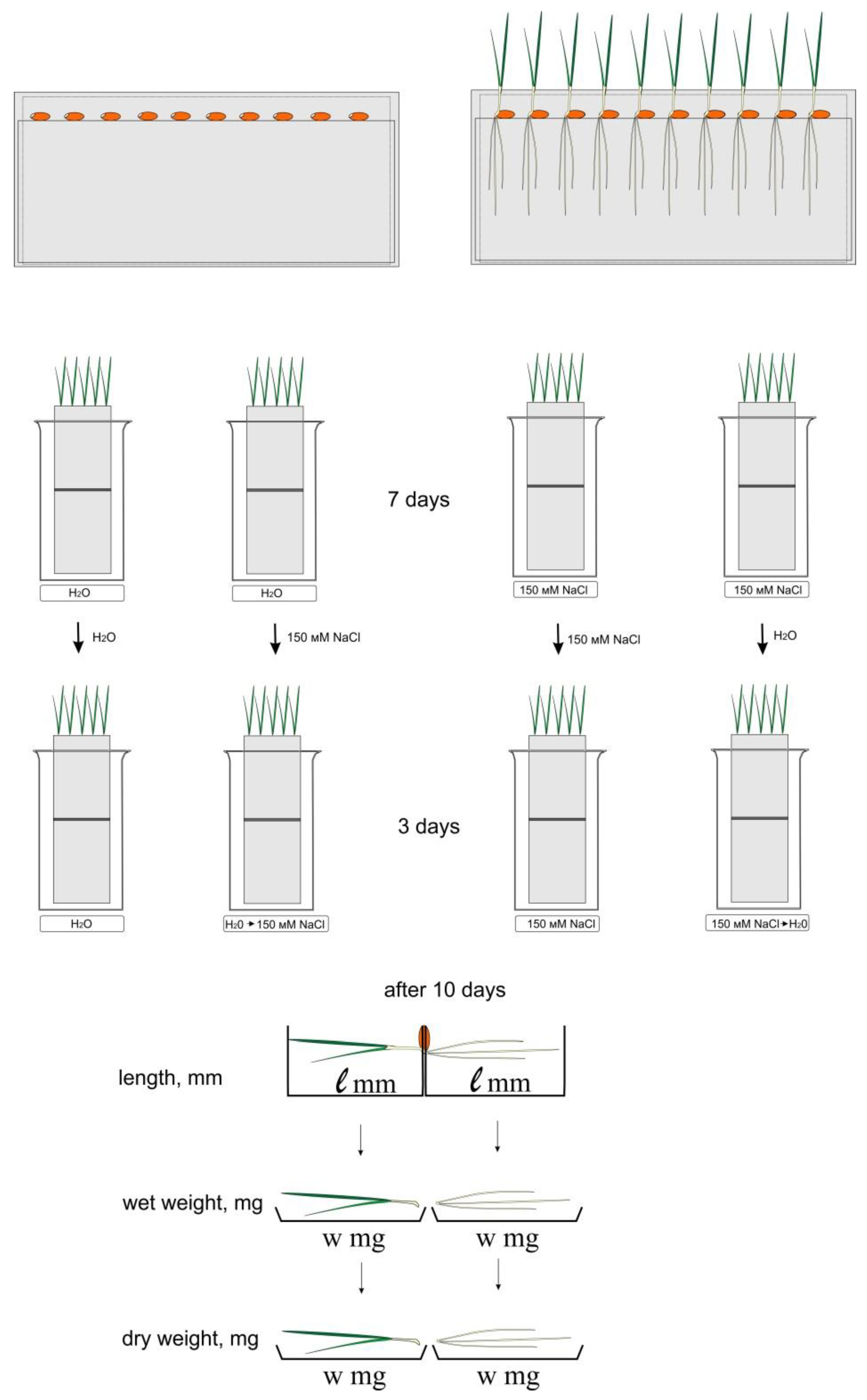 Agriculture 10 00055 g001