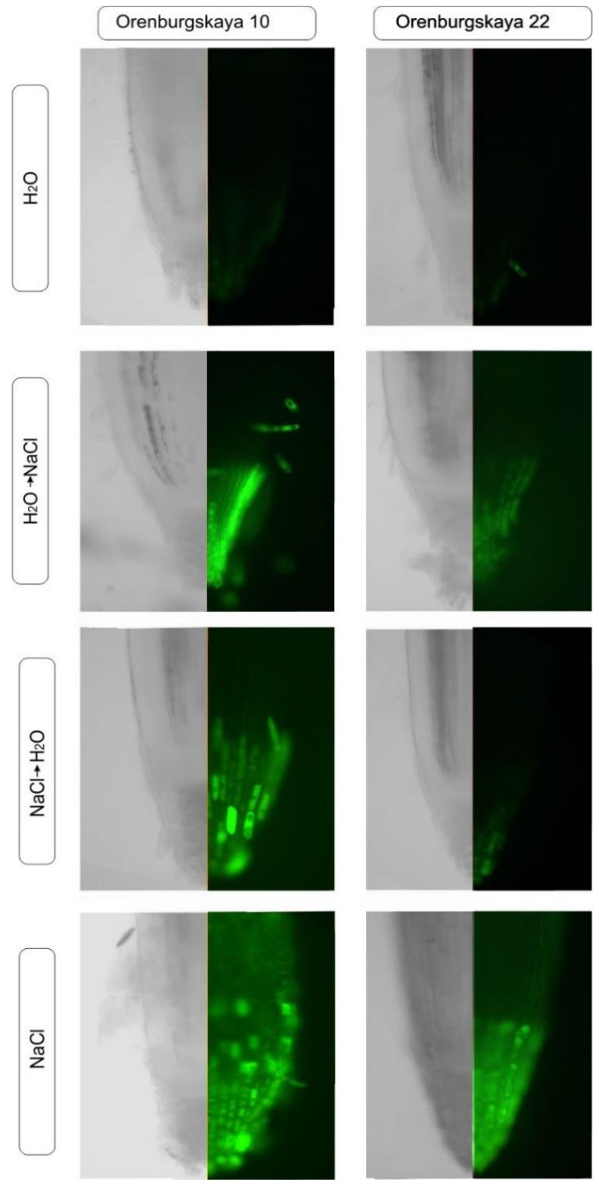 Agriculture 10 00055 g008