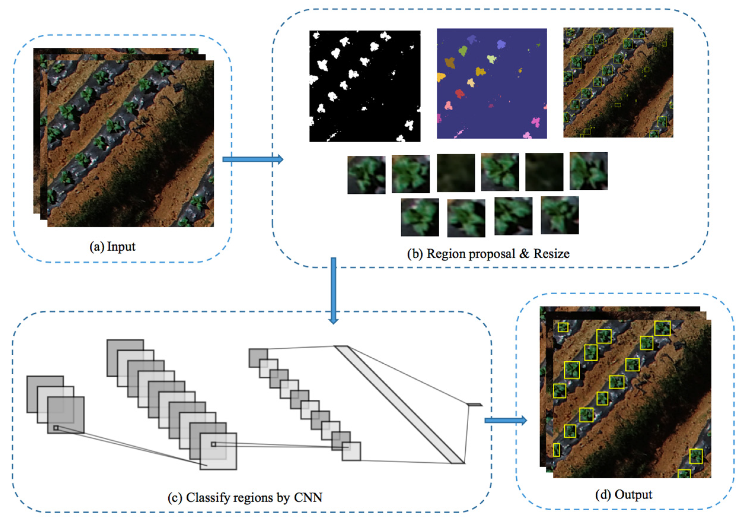 Agriculture 10 00057 g001