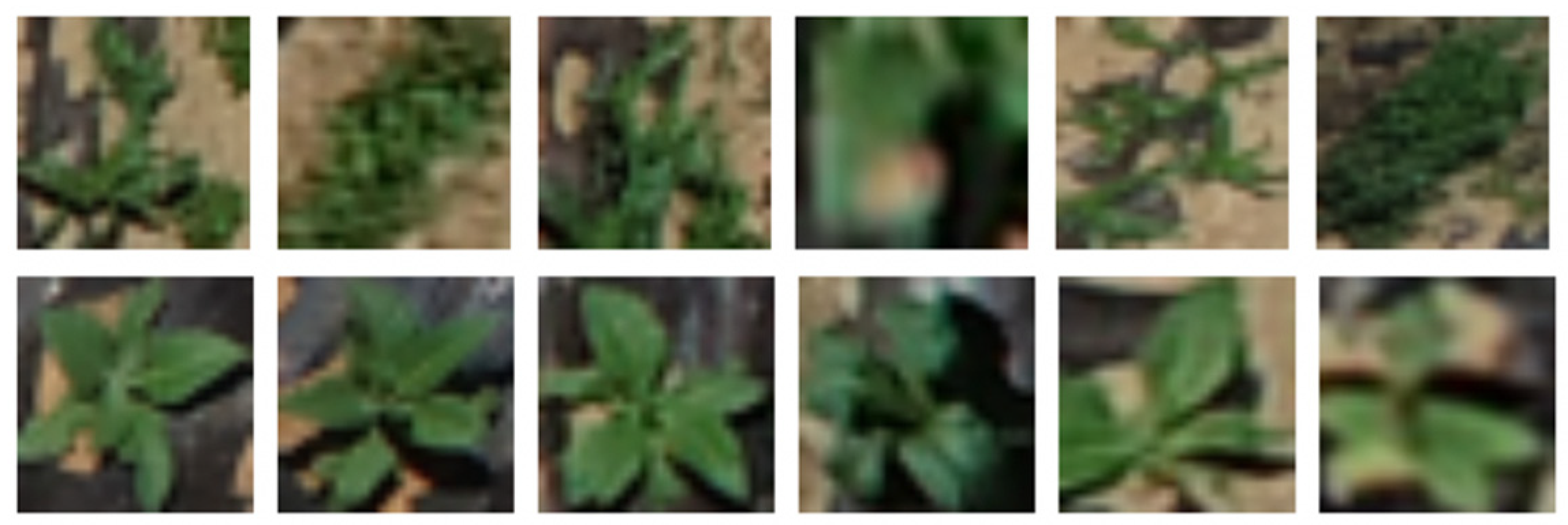 Agriculture 10 00057 g007