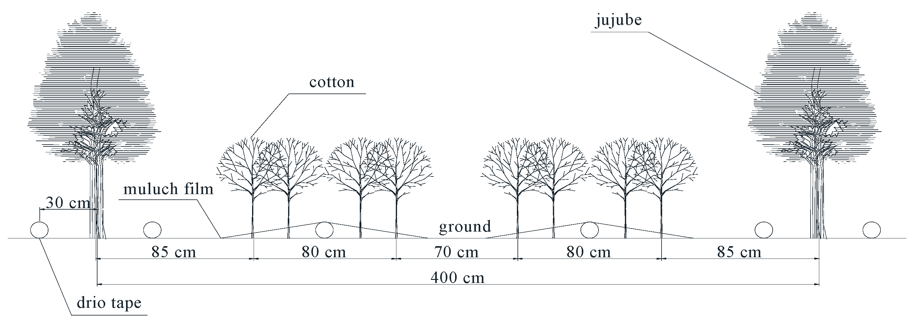 Agriculture 10 00065 g001