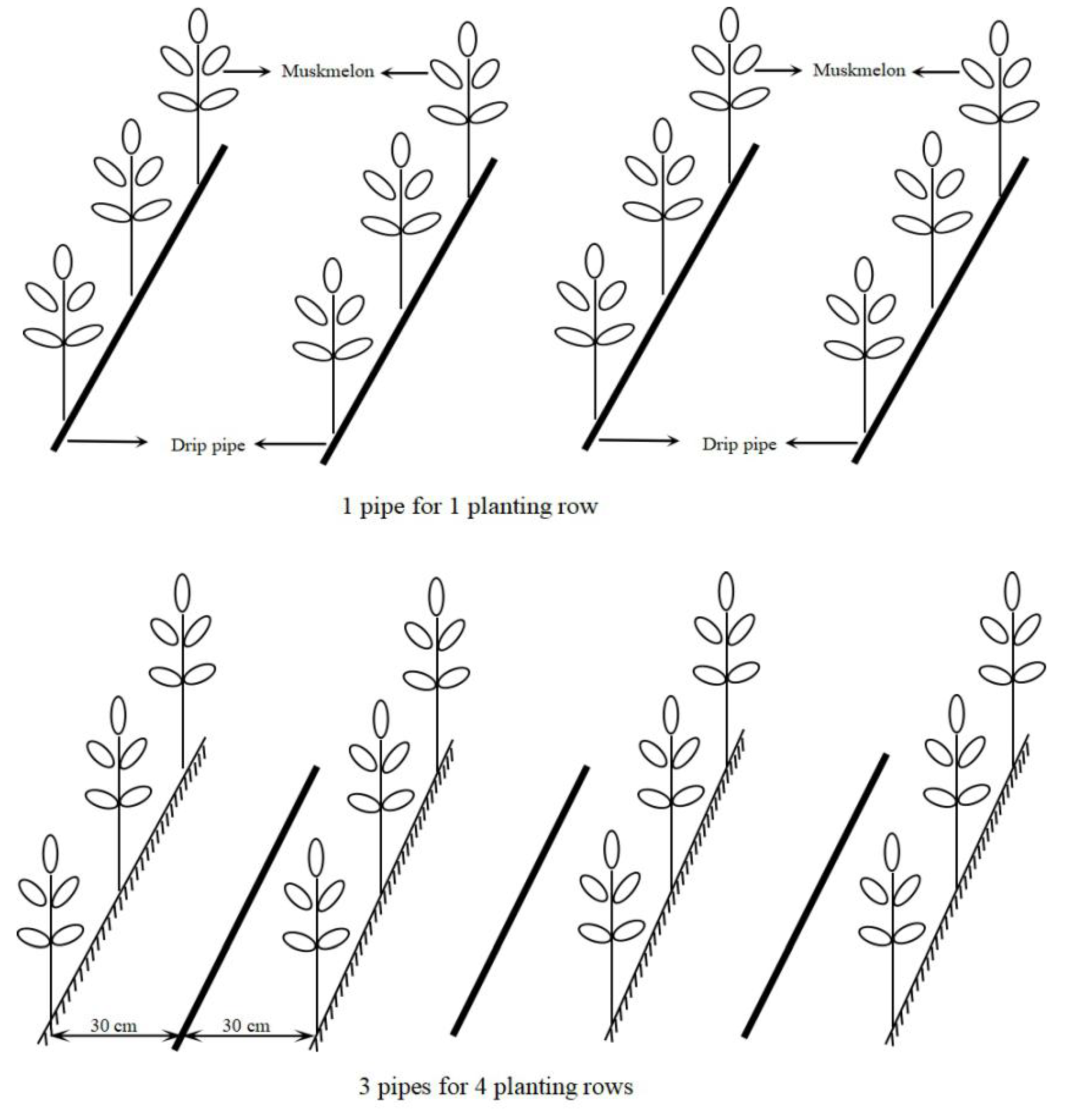 Agriculture 10 00084 g001a Agriculture 10 00084 g001a