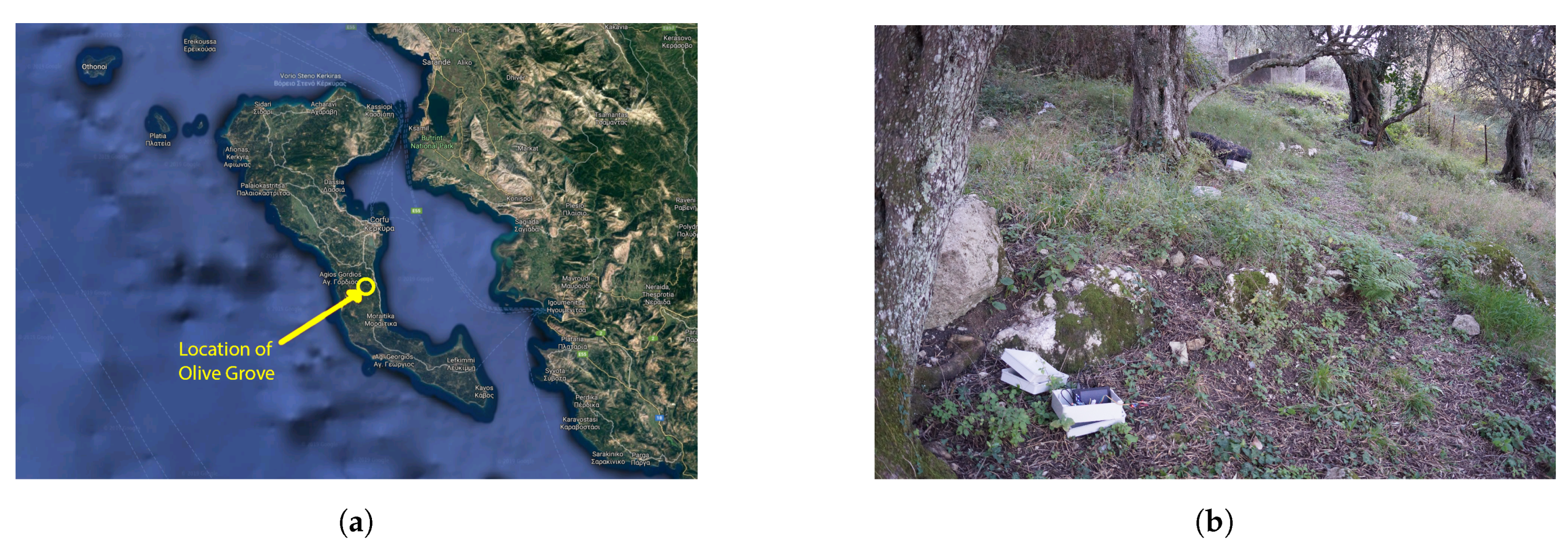 Agriculture 10 00089 g003 Agriculture 10 00089 g003