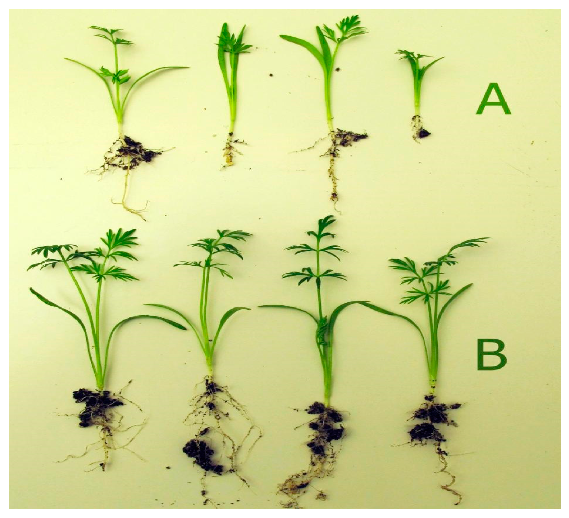 Agriculture 10 00094 g002