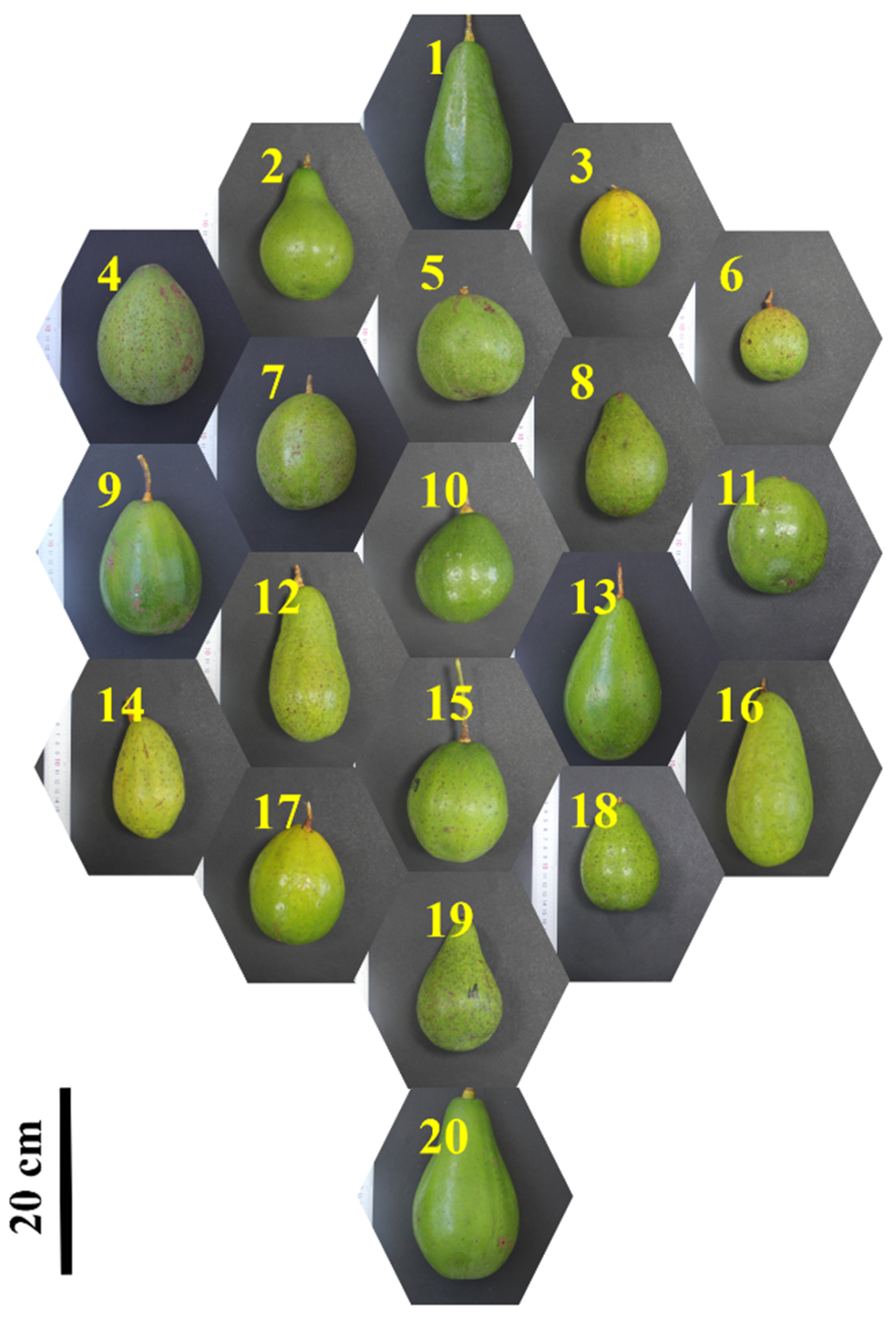 Agriculture 10 00102 g001