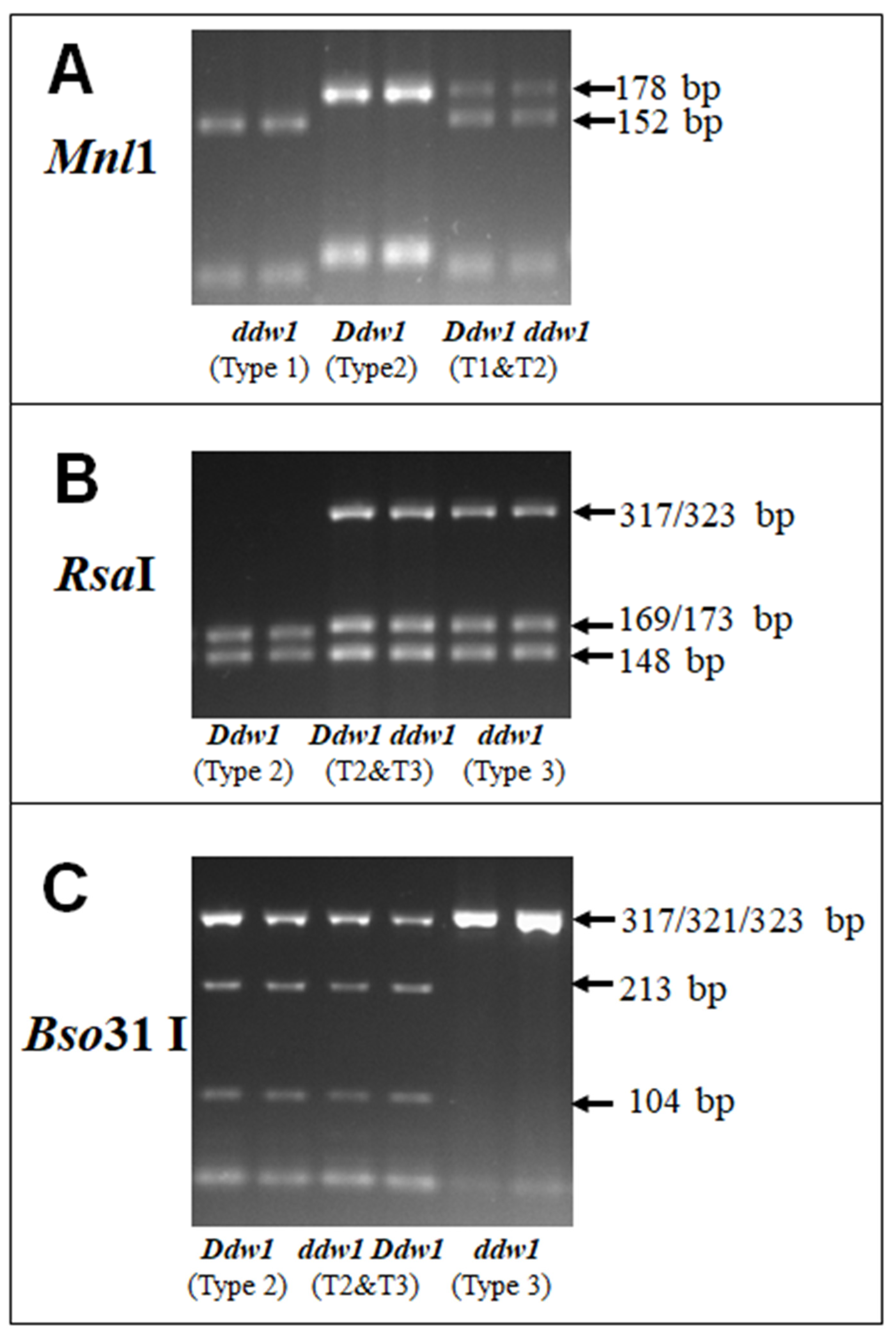 Agriculture 10 00110 g003 Agriculture 10 00110 g003