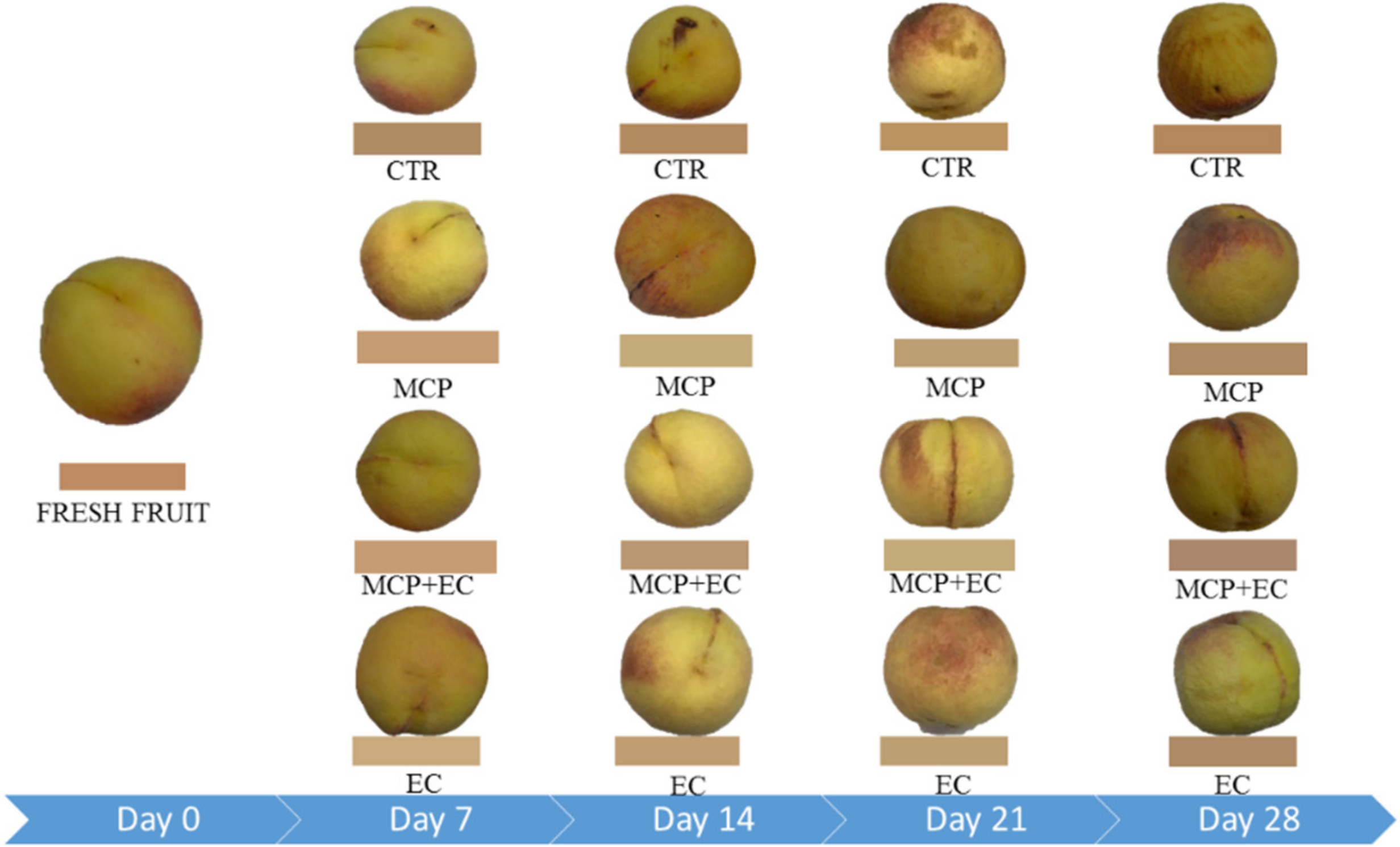 Agriculture 10 00151 g005
