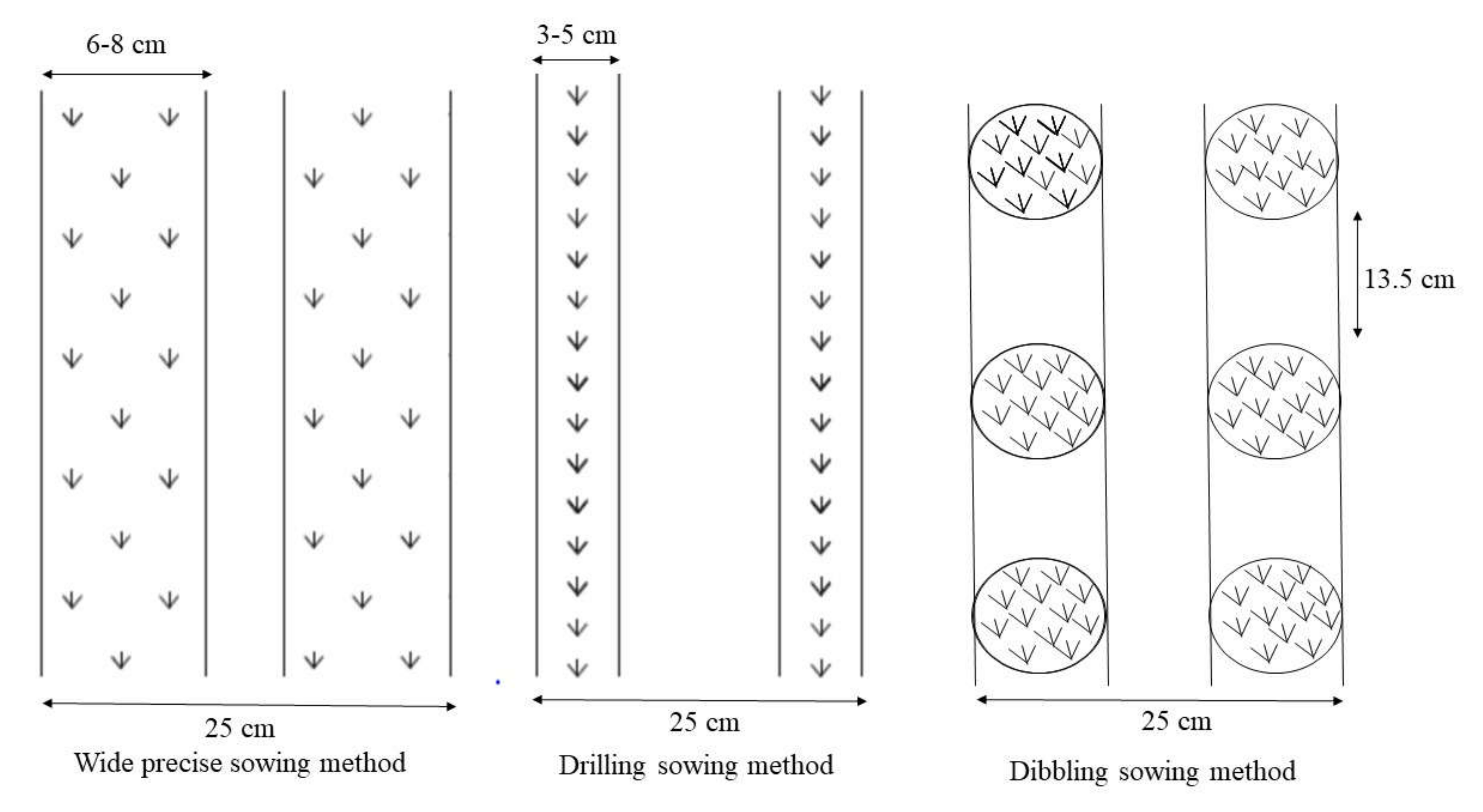 Agriculture 10 00153 g002