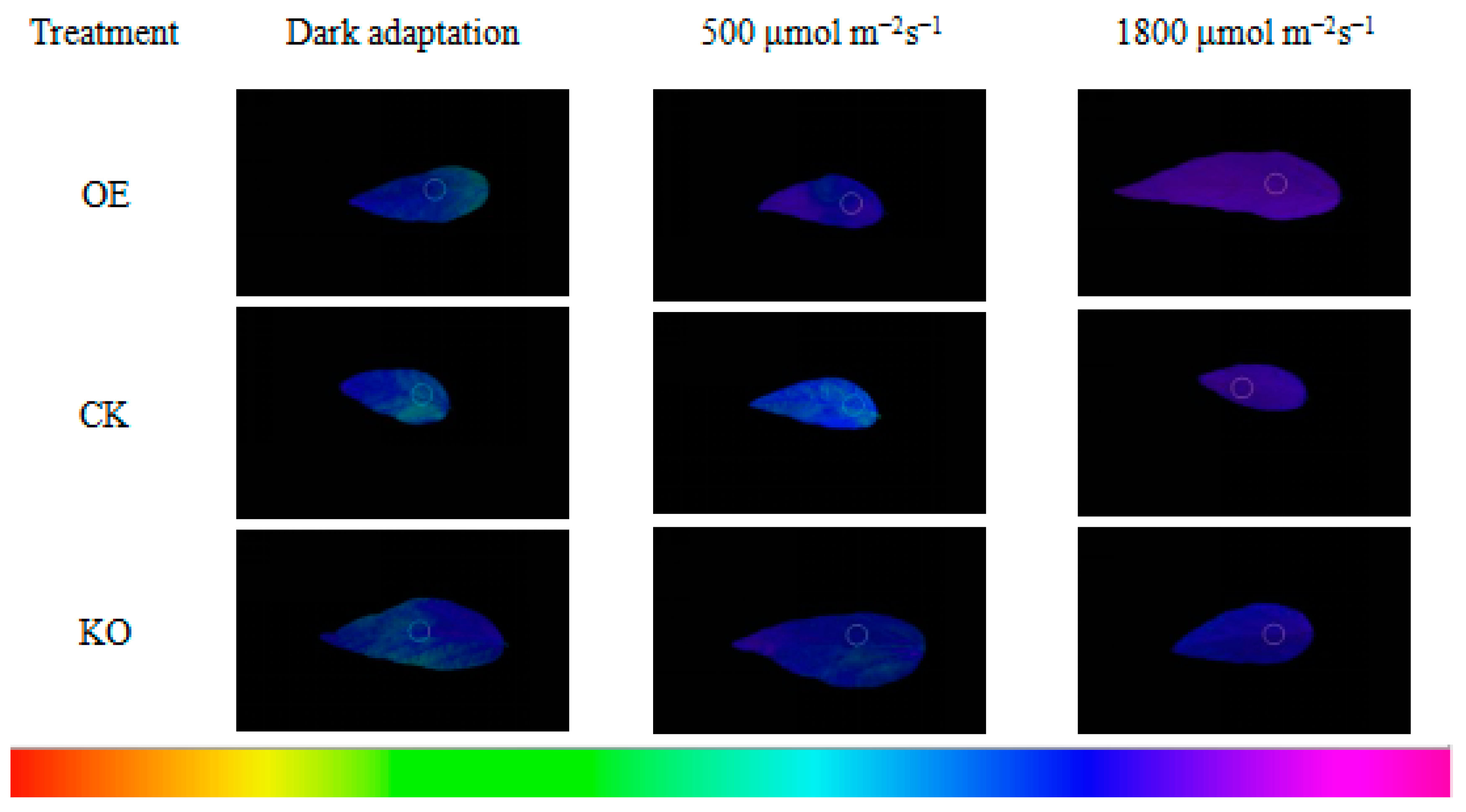 Agriculture 10 00157 g009 Agriculture 10 00157 g009