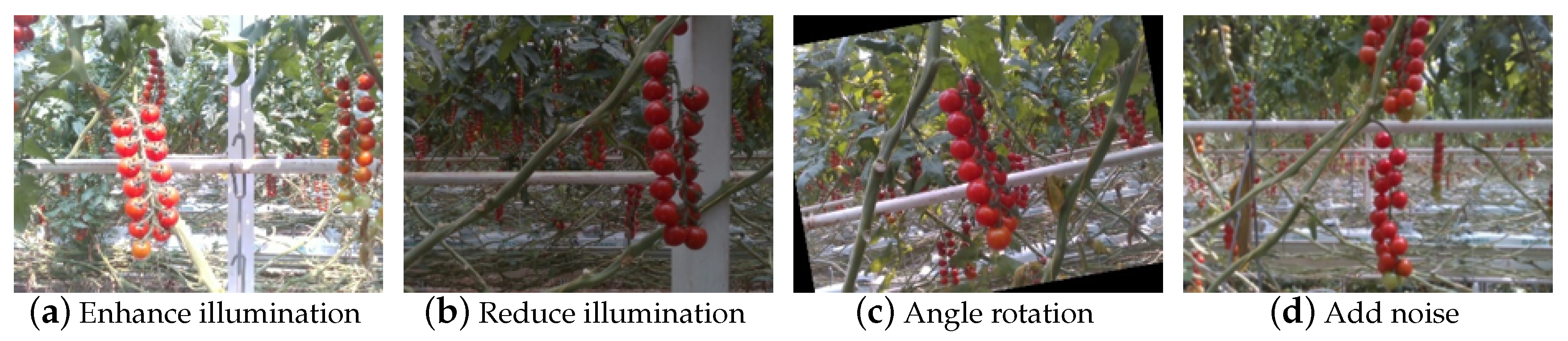 Agriculture 10 00160 g002 Agriculture 10 00160 g002