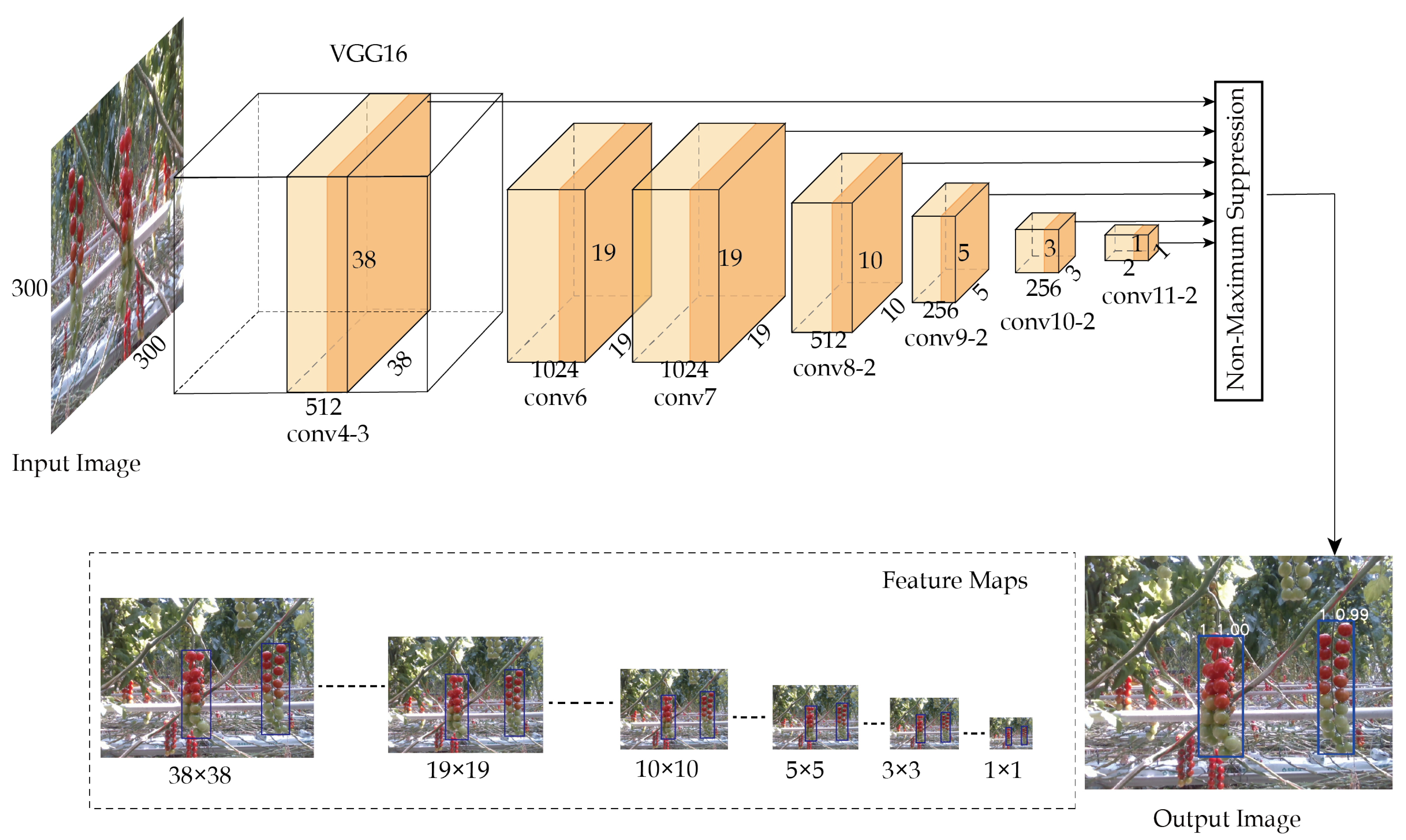 Agriculture 10 00160 g003 Agriculture 10 00160 g003