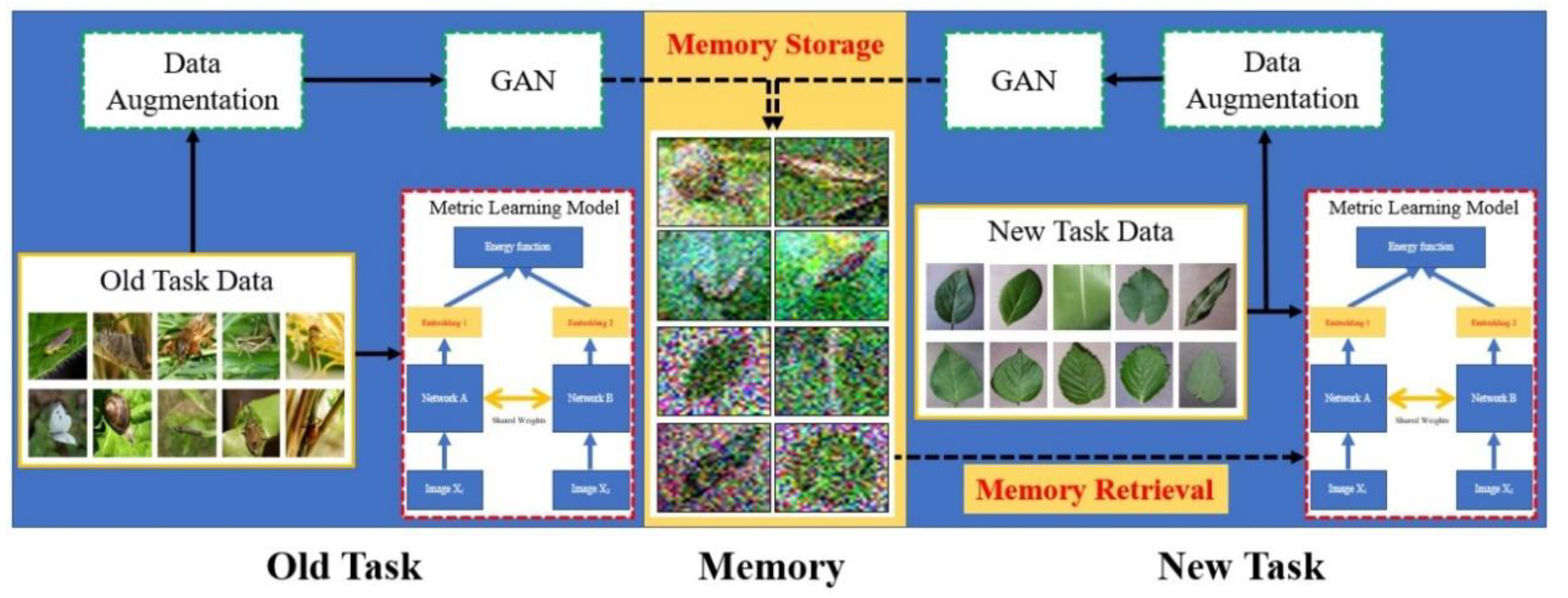 Agriculture 10 00178 g007