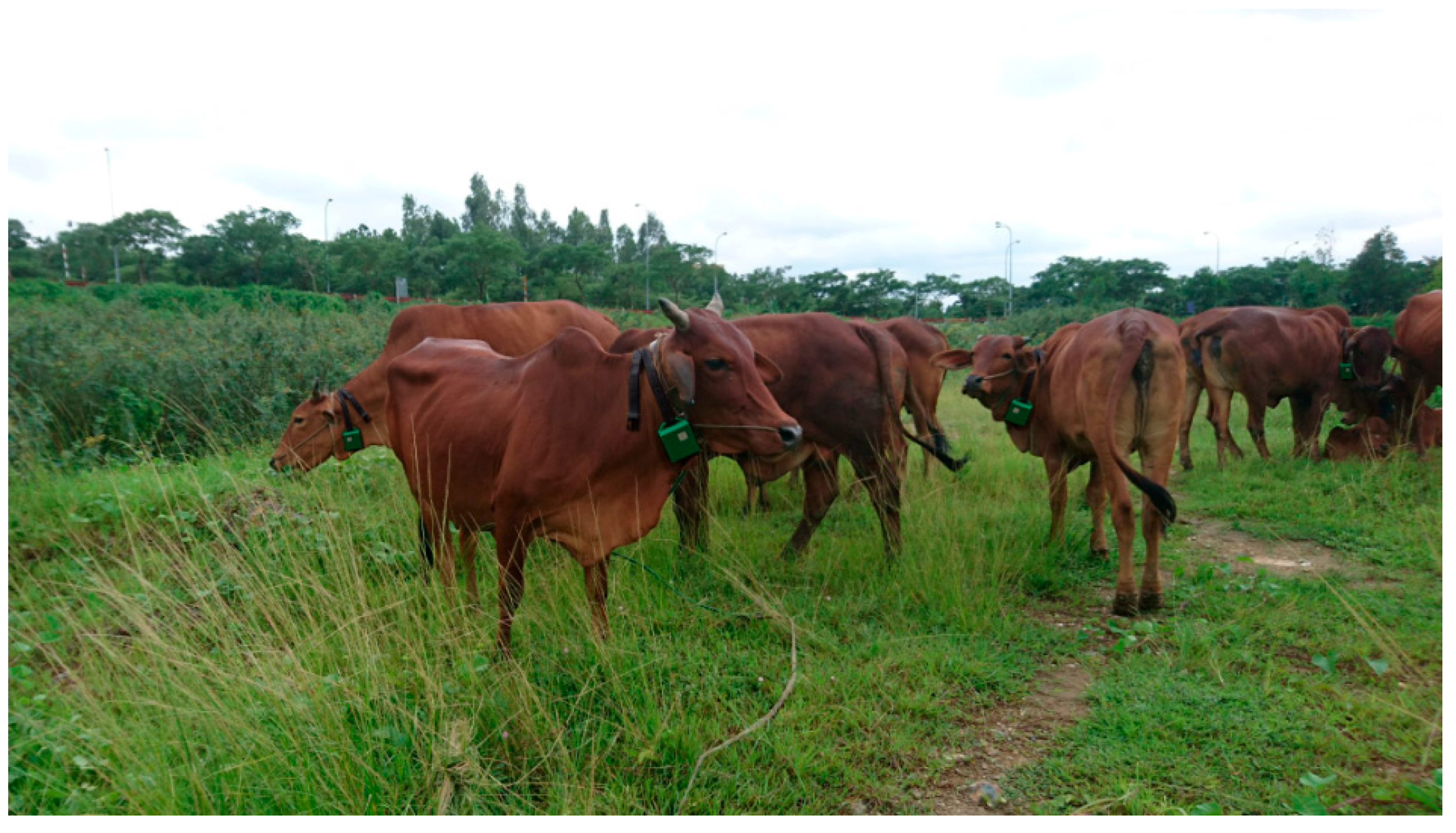 Agriculture 10 00180 g017 Agriculture 10 00180 g017