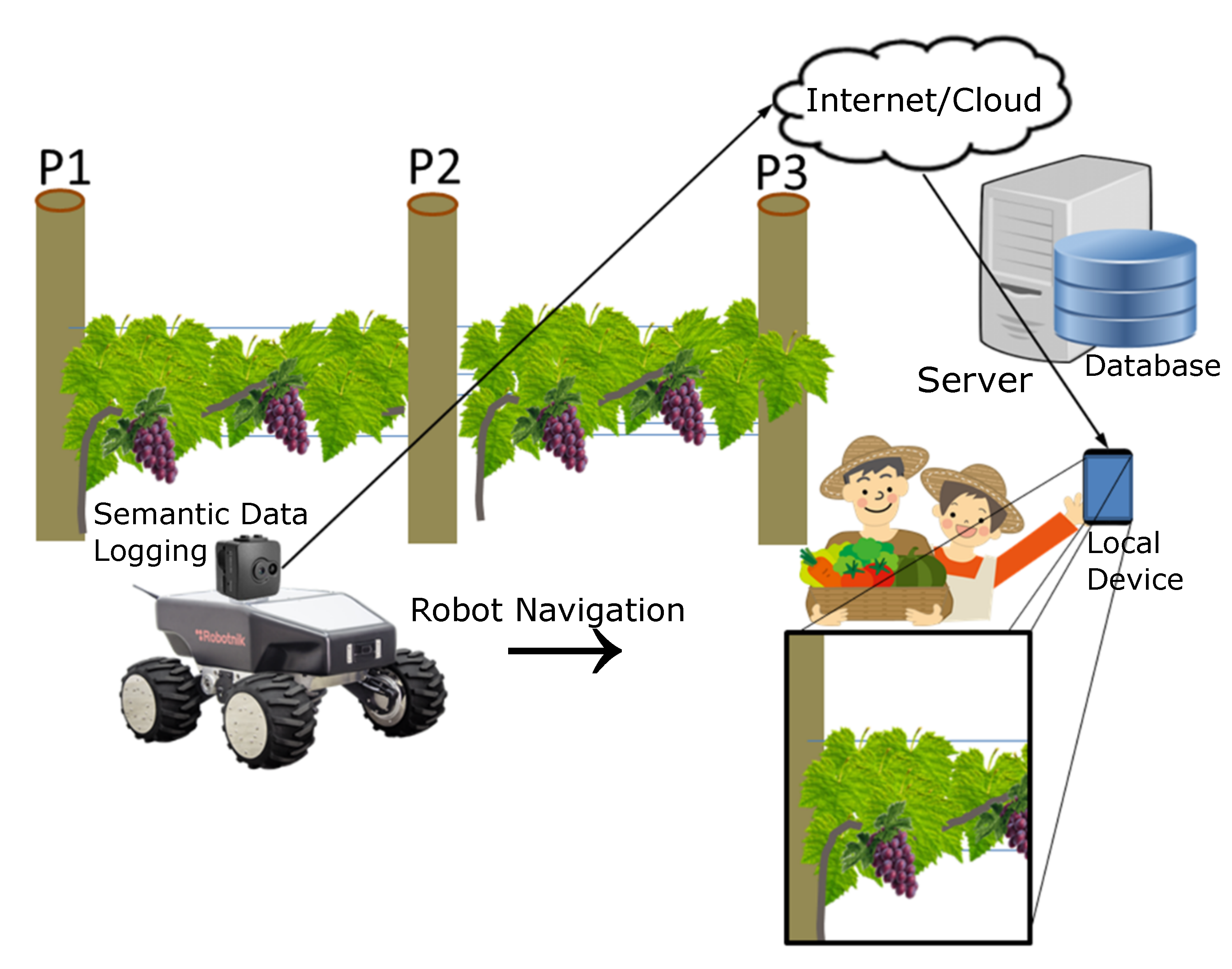 Agriculture 10 00182 g001