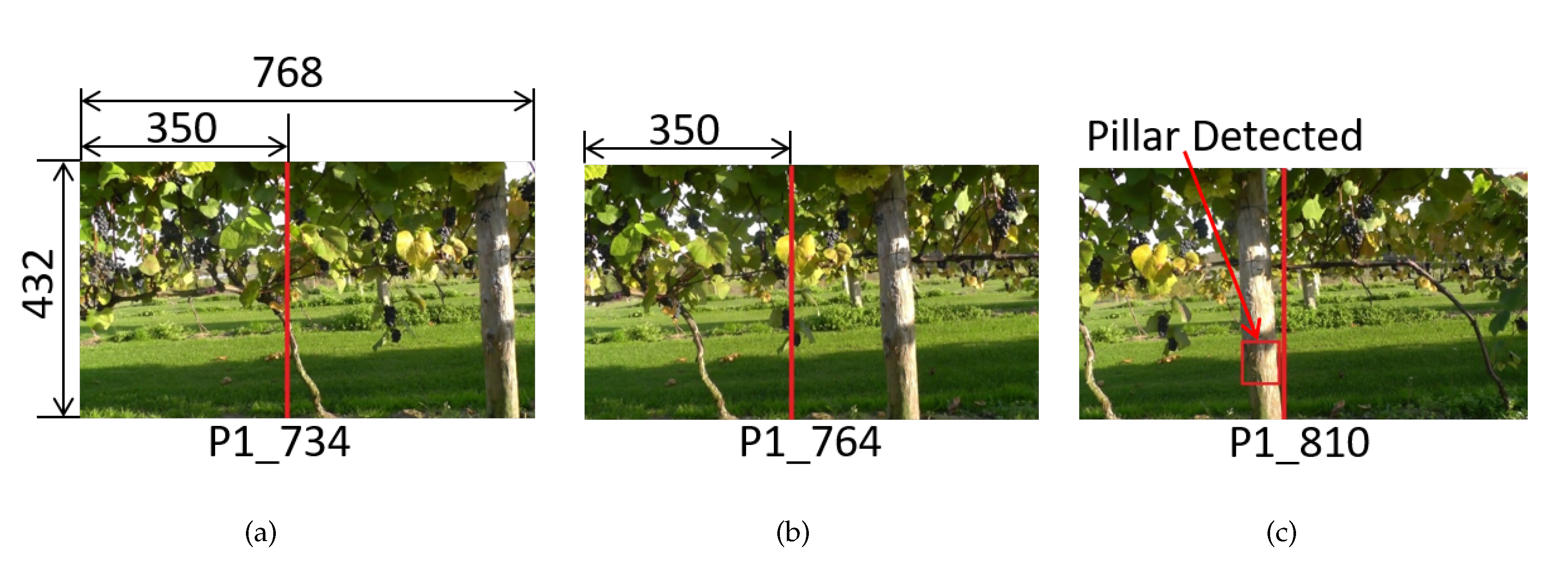 Agriculture 10 00182 g005