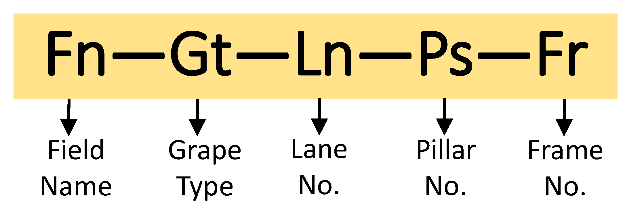 Agriculture 10 00182 g008