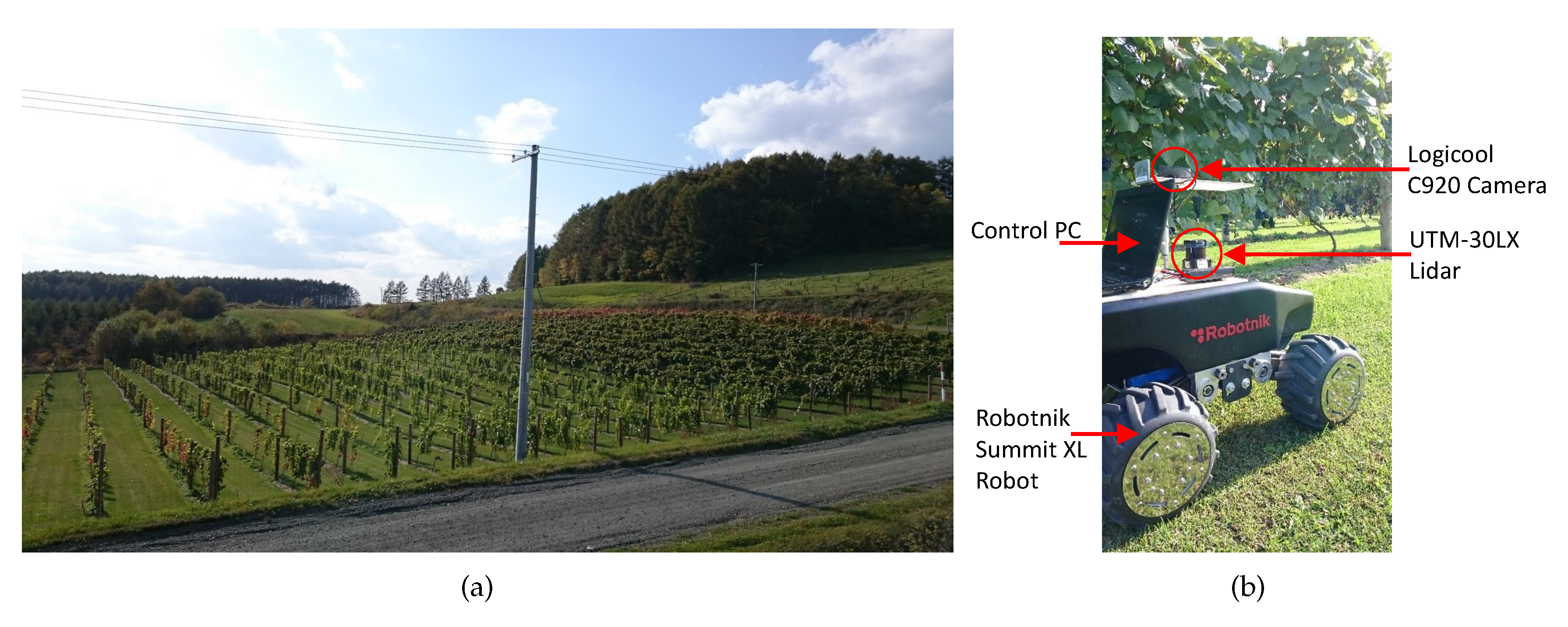 Agriculture 10 00182 g010