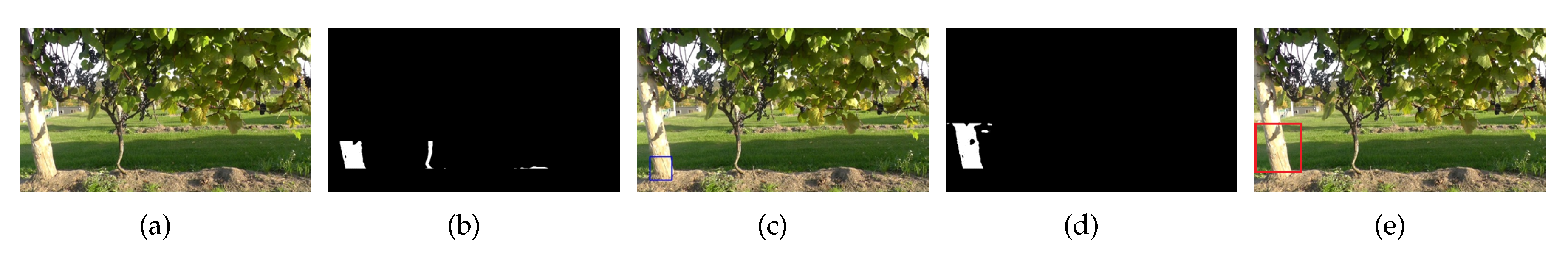 Agriculture 10 00182 g011