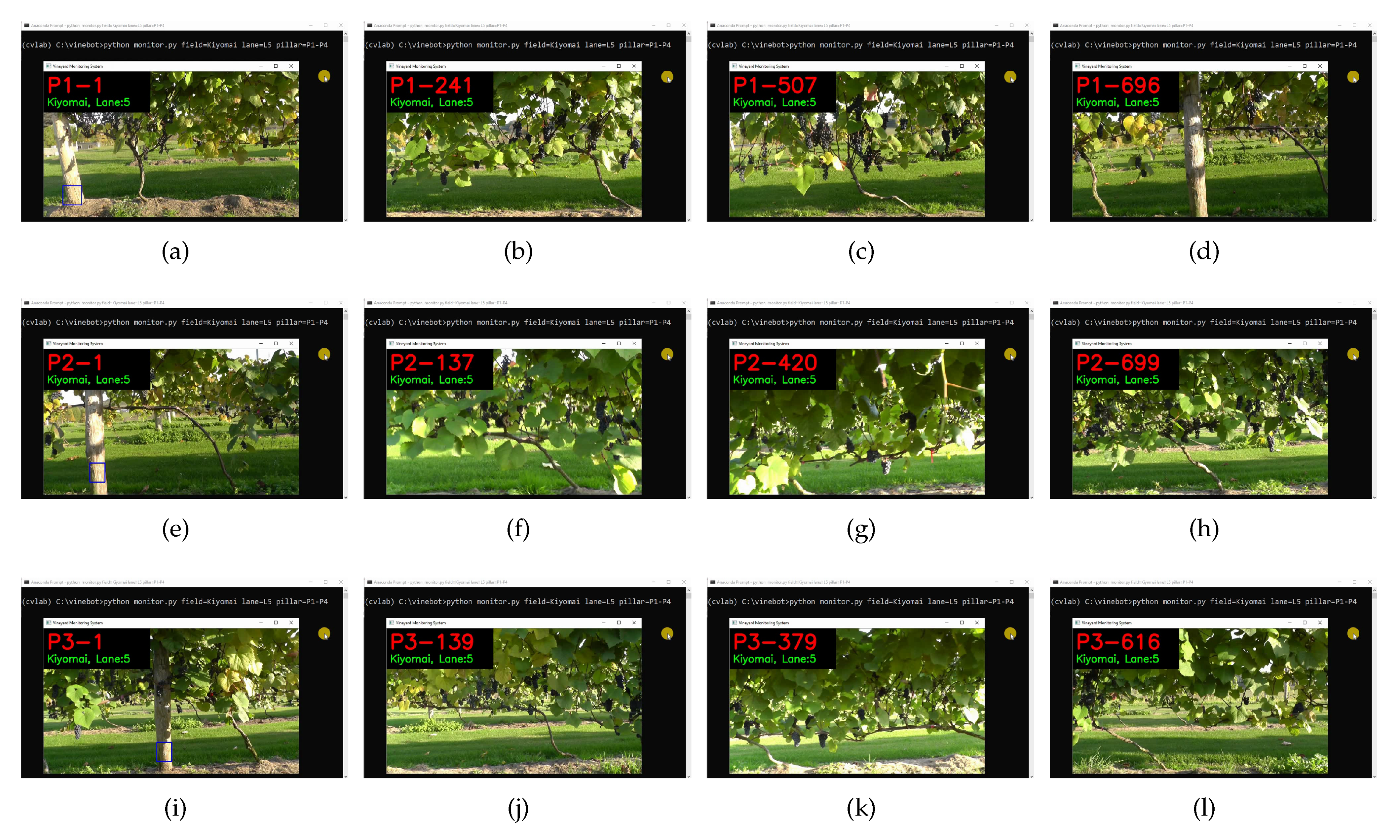 Agriculture 10 00182 g013