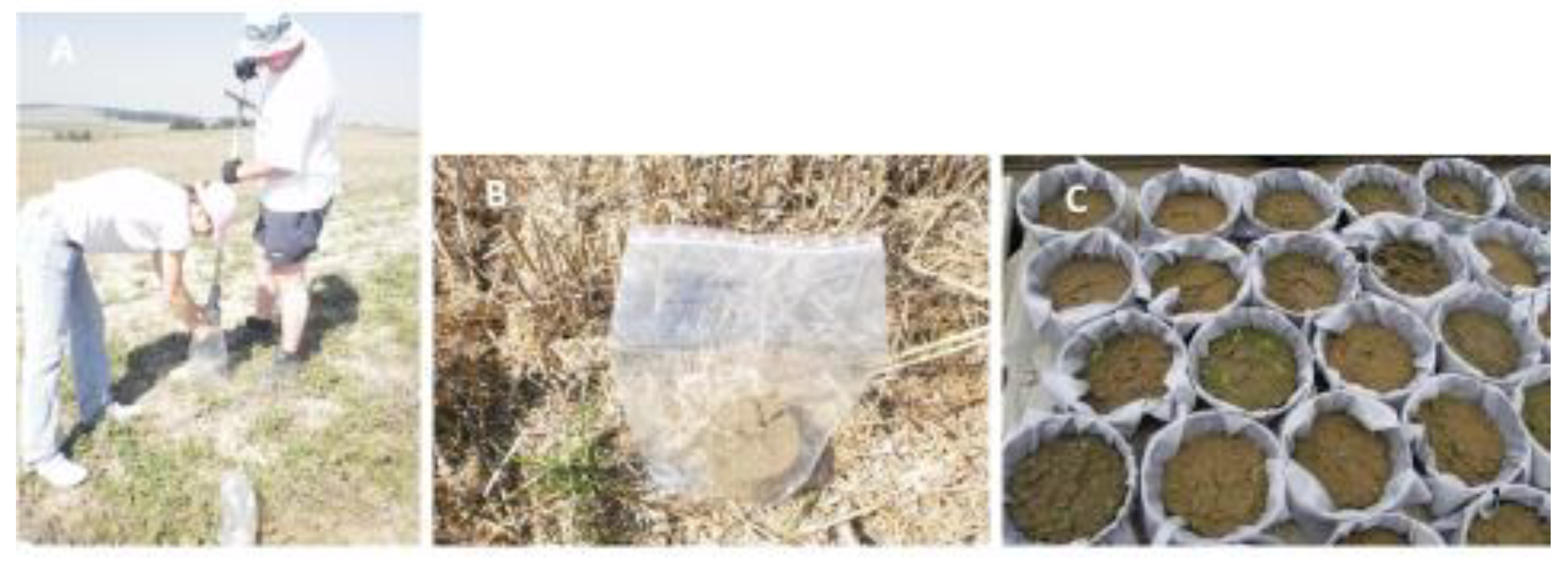 Agriculture 10 00186 g003